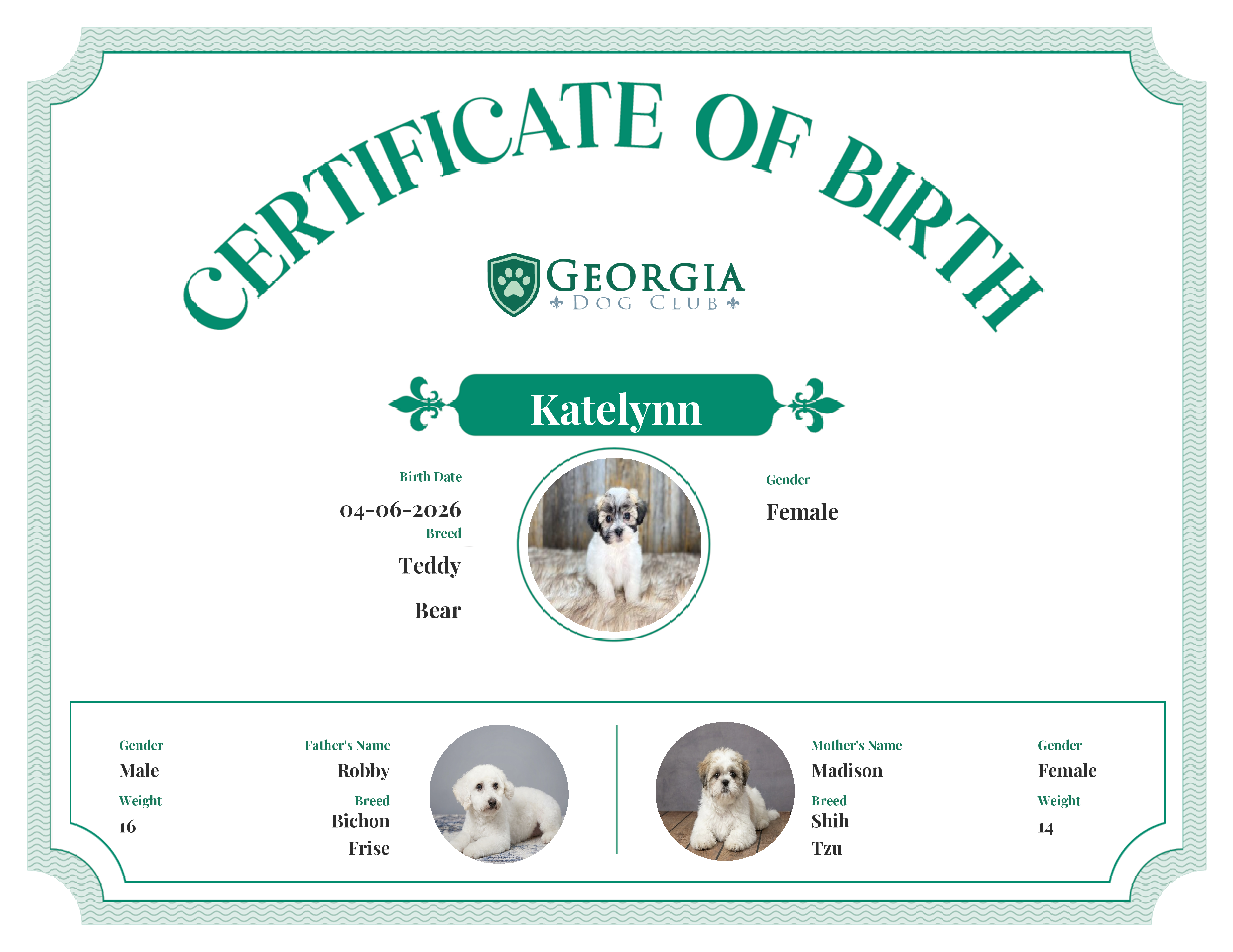 Katelynn's Birth Certificate