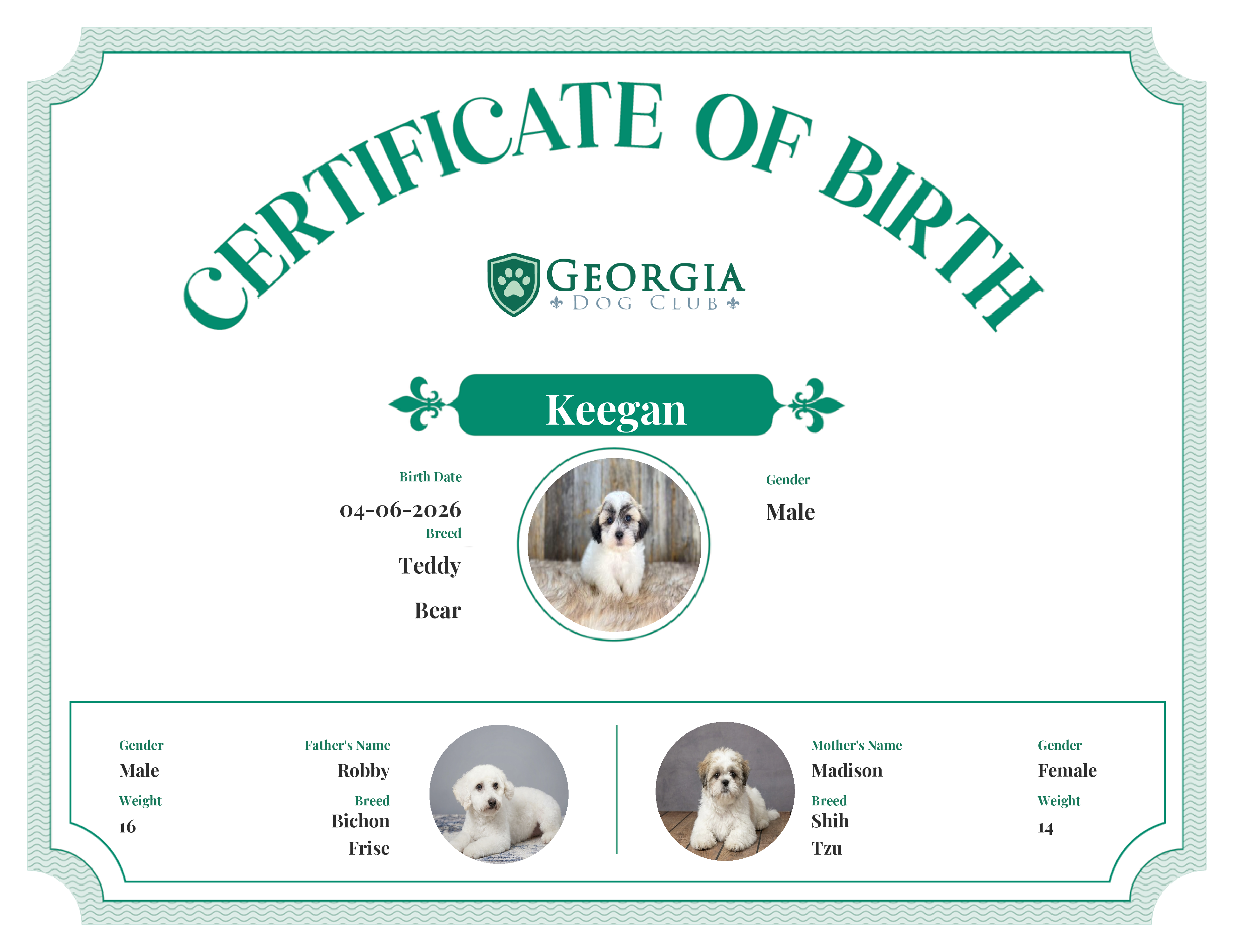 Keegan's Birth Certificate