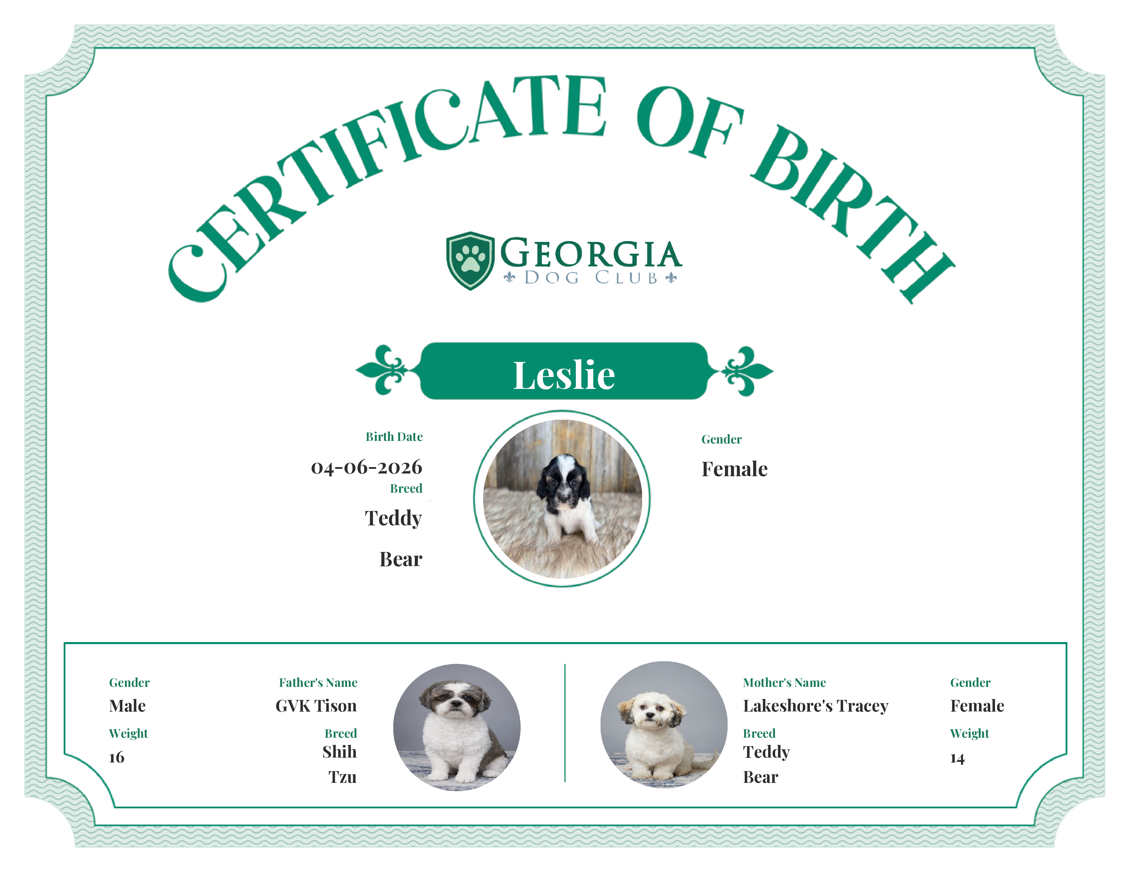 Leslie's Birth Certificate