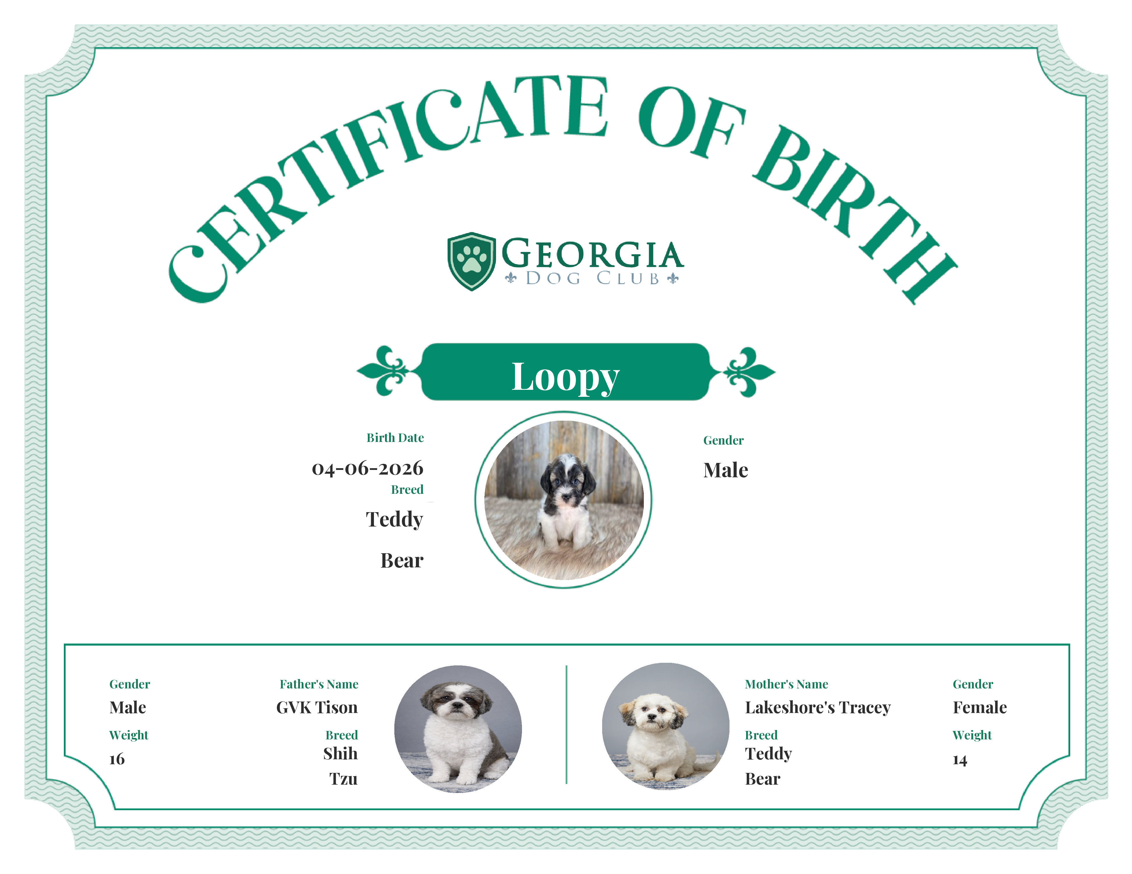 Loopy's Birth Certificate