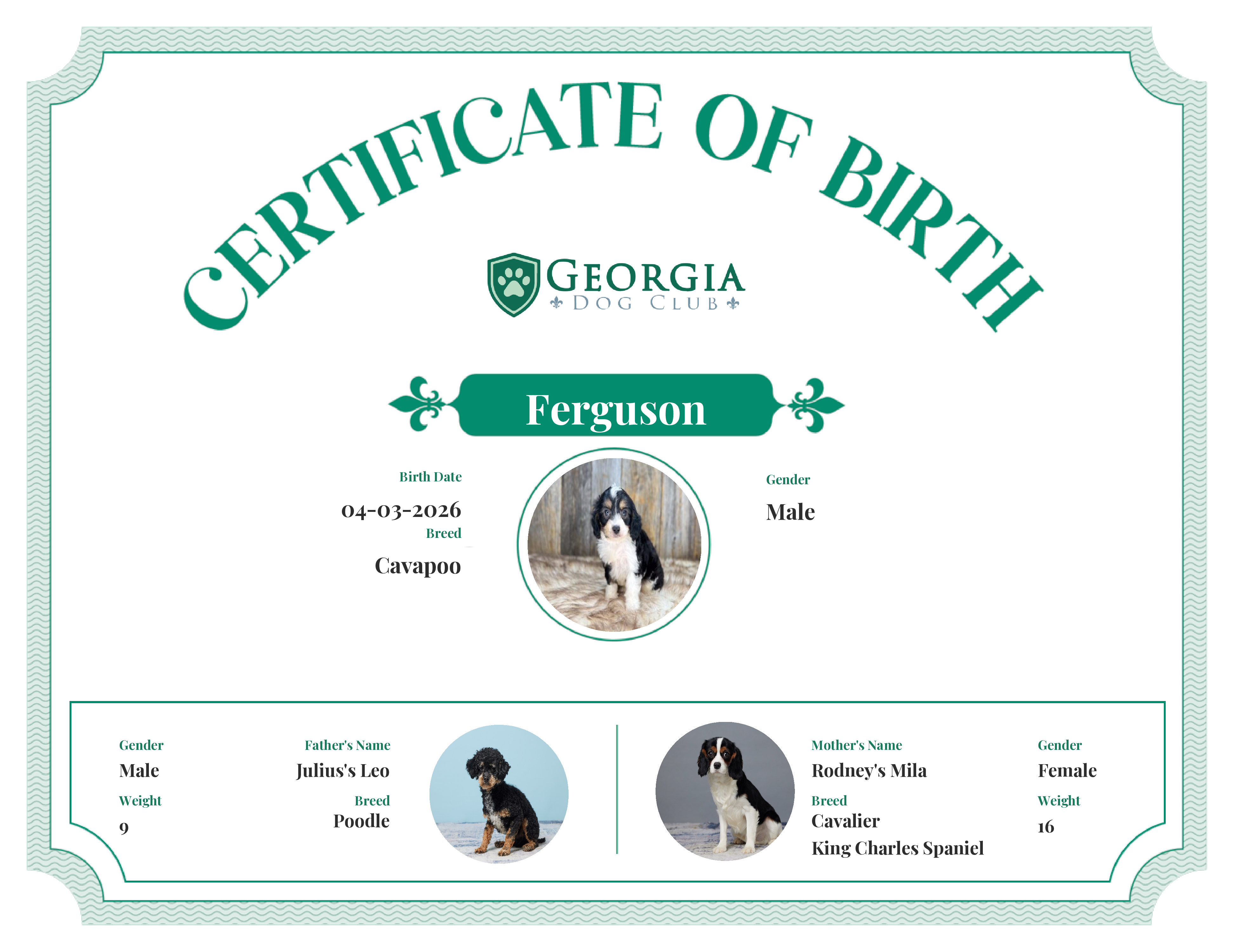 Ferguson's Birth Certificate