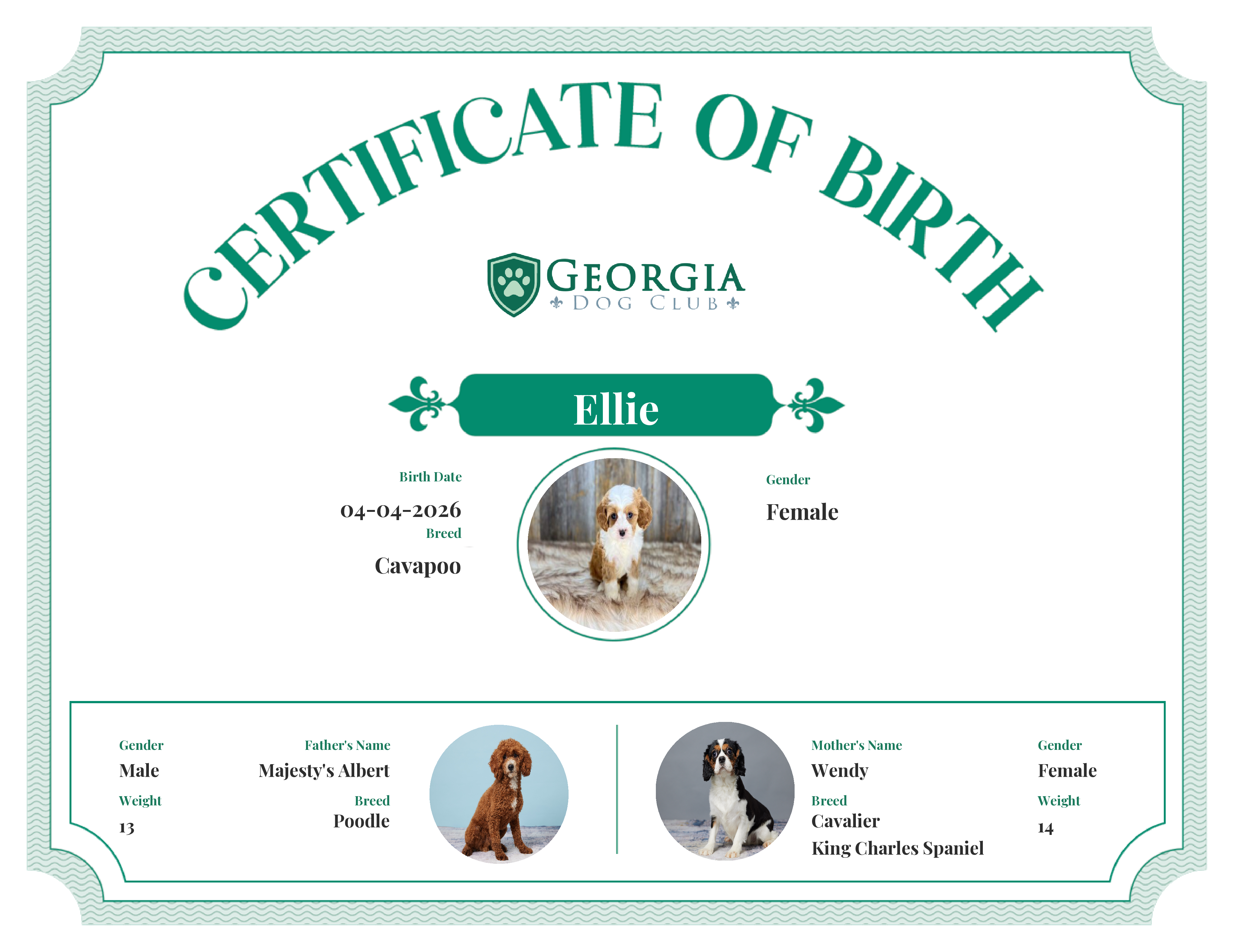Ellie's Birth Certificate