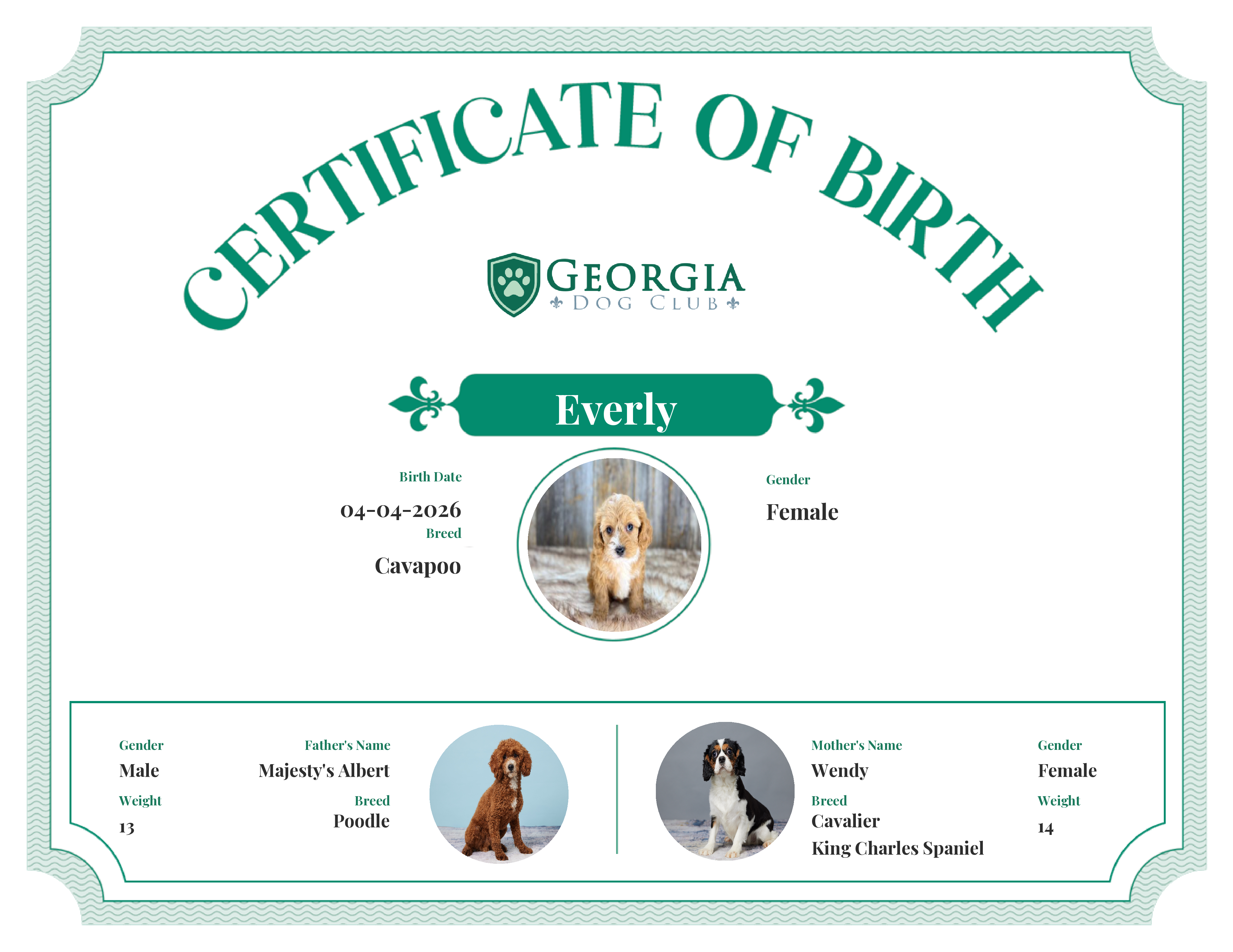 Everly's Birth Certificate