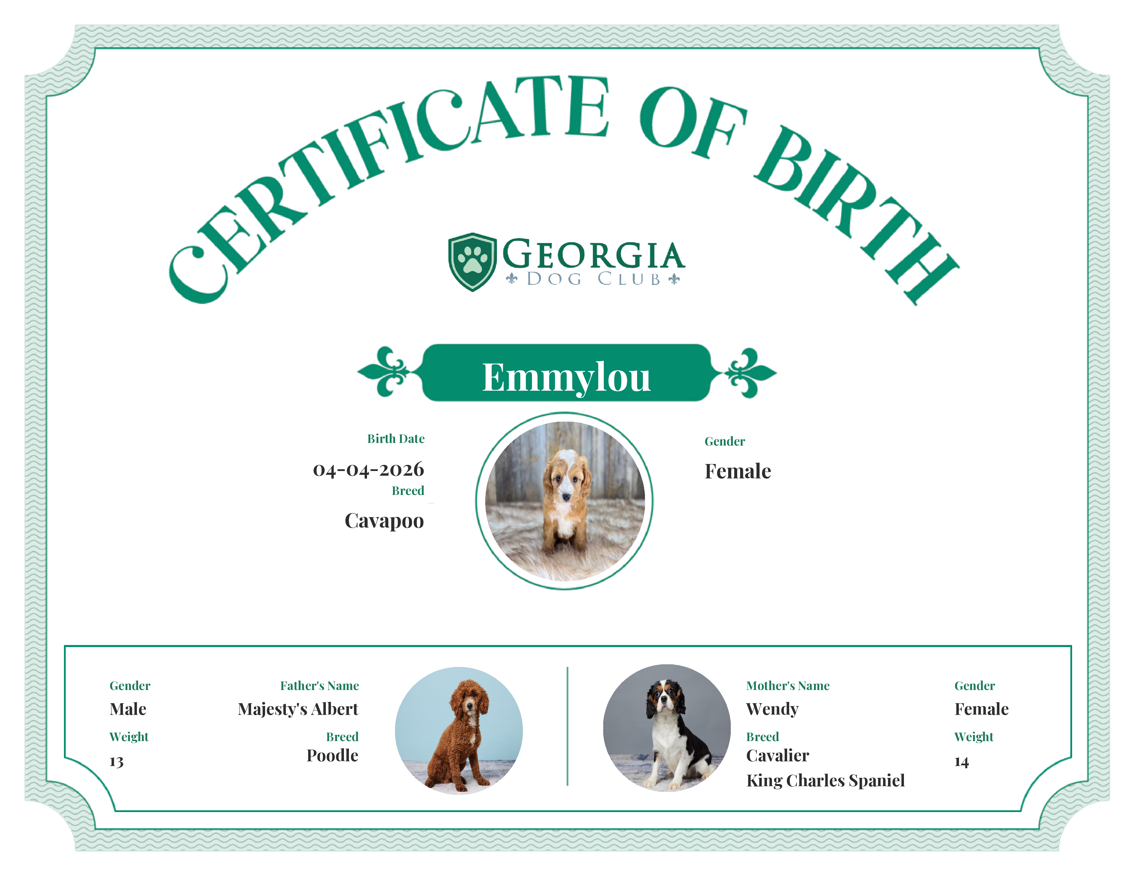 Emmylou's Birth Certificate