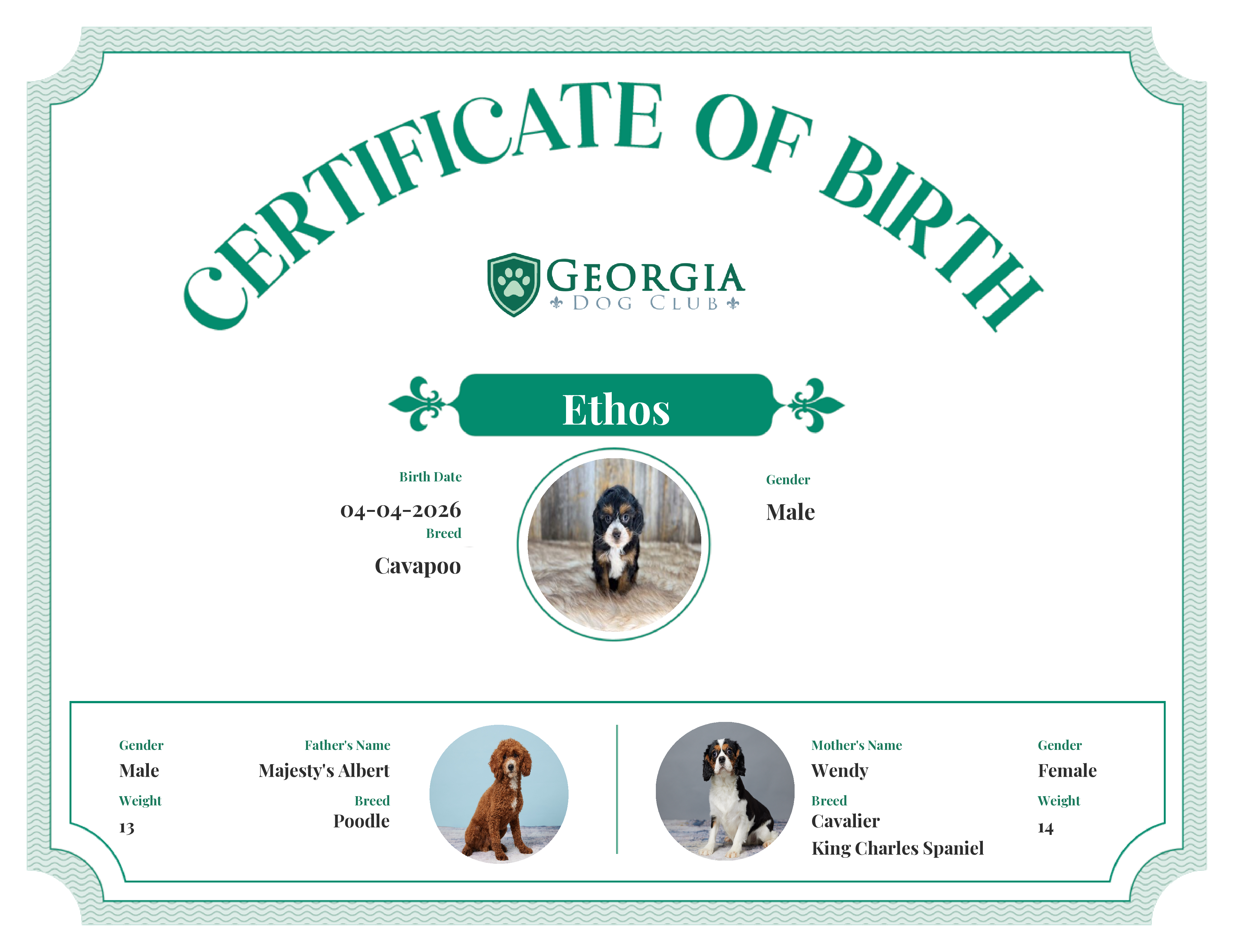 Ethos's Birth Certificate