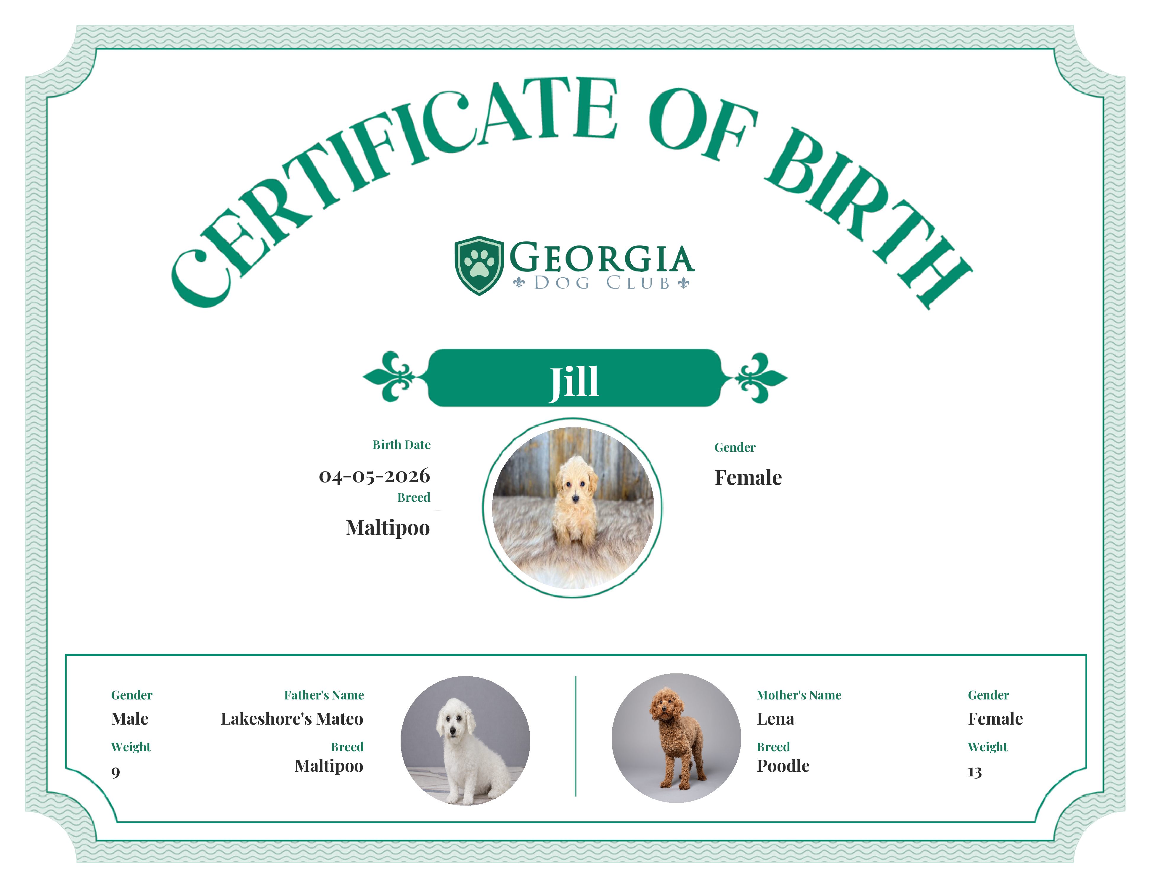 Jill's Birth Certificate