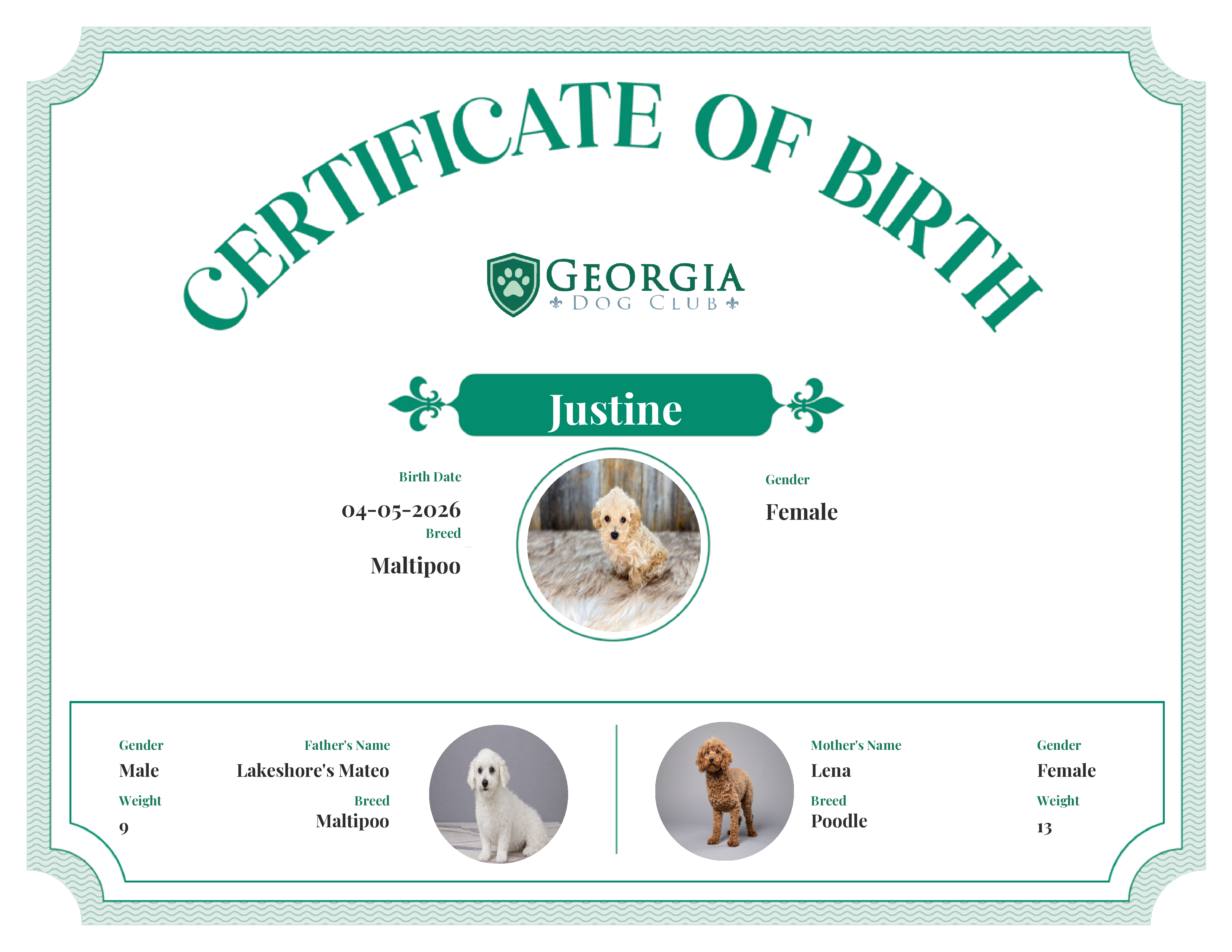 Justine's Birth Certificate