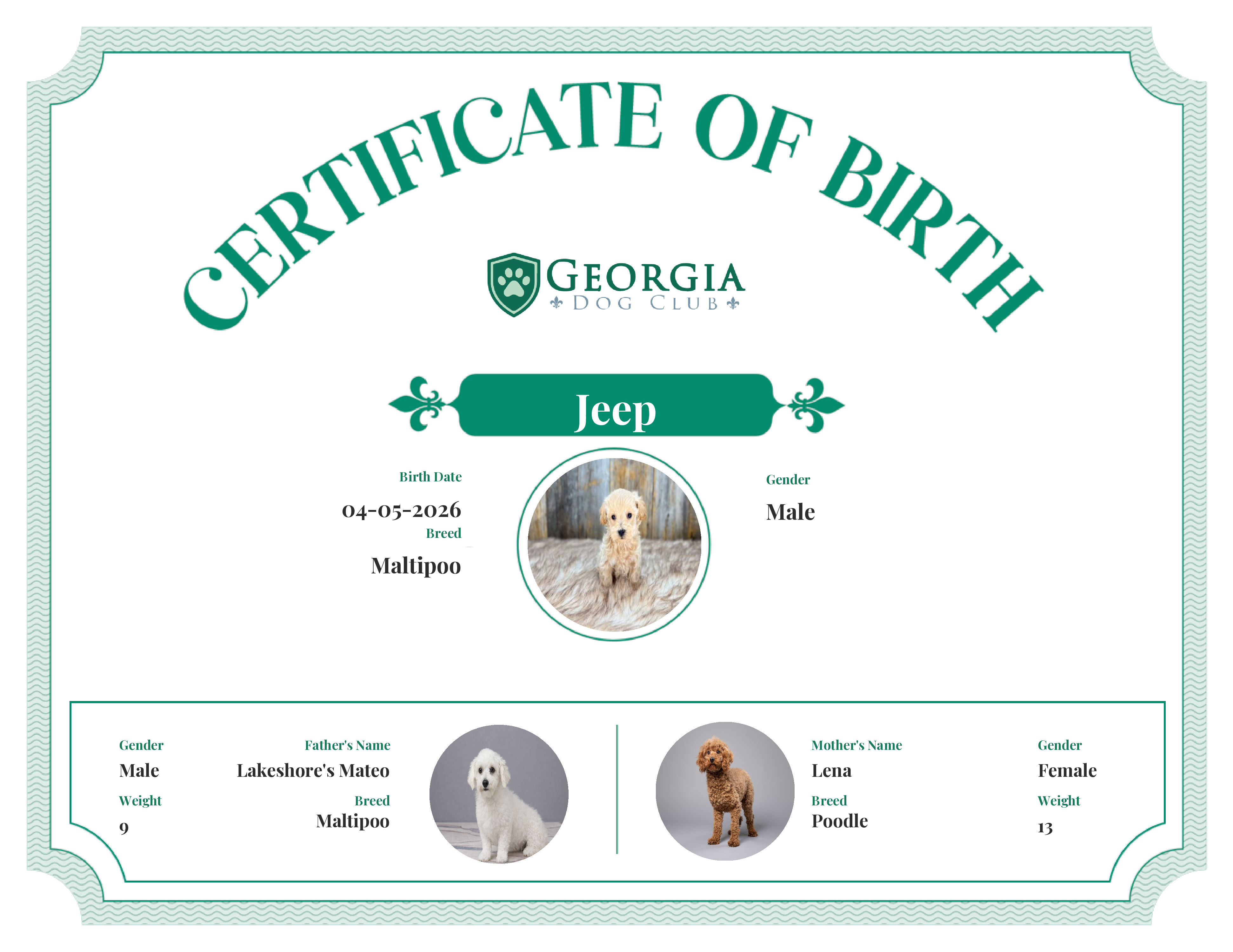 Jeep's Birth Certificate