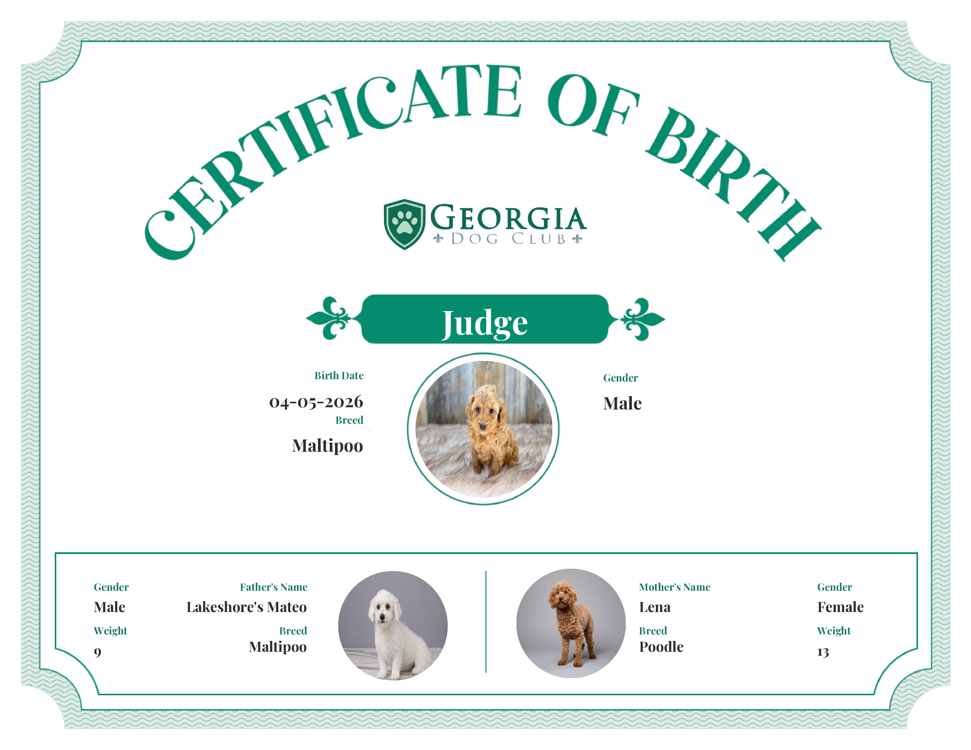 Judge's Birth Certificate