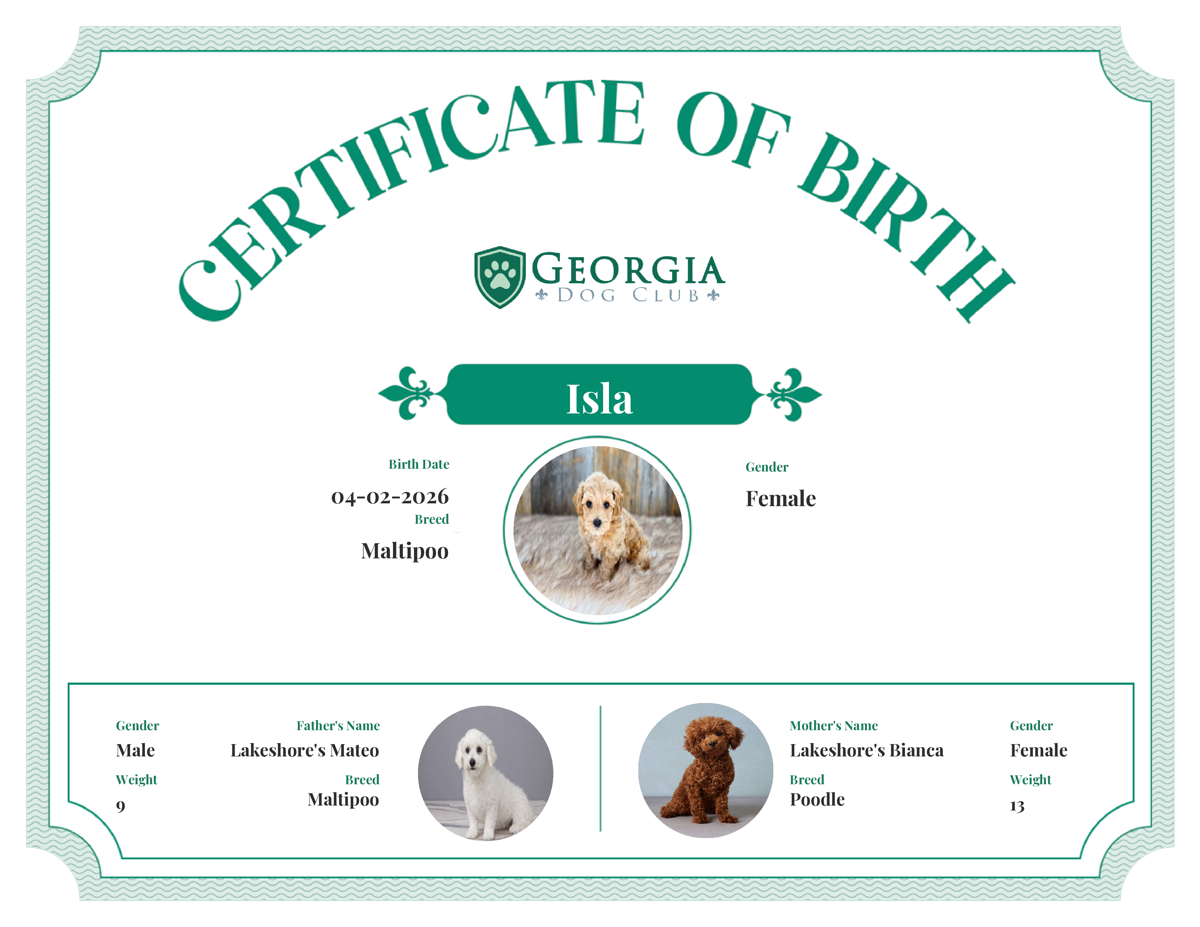 Isla's Birth Certificate