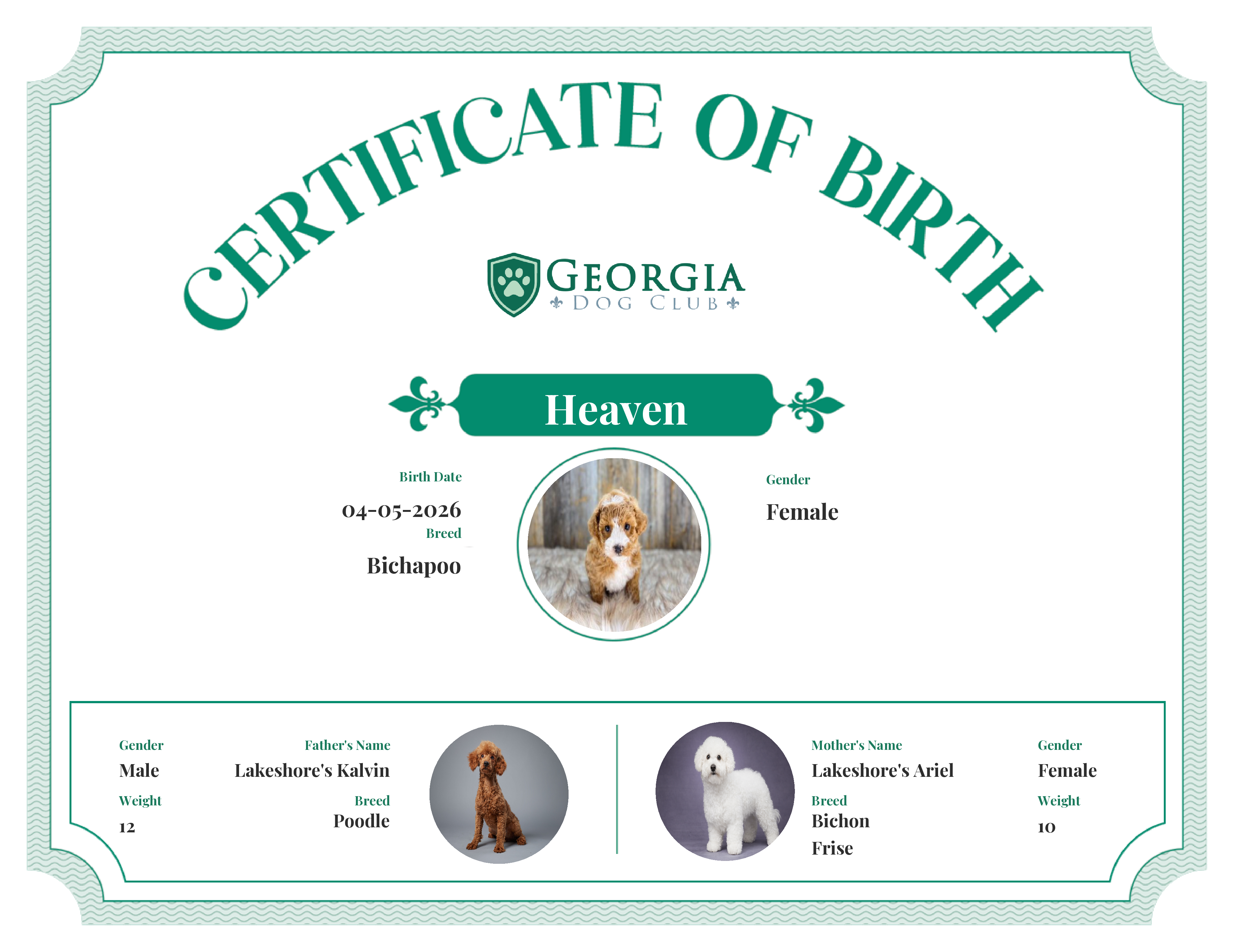 Heaven's Birth Certificate