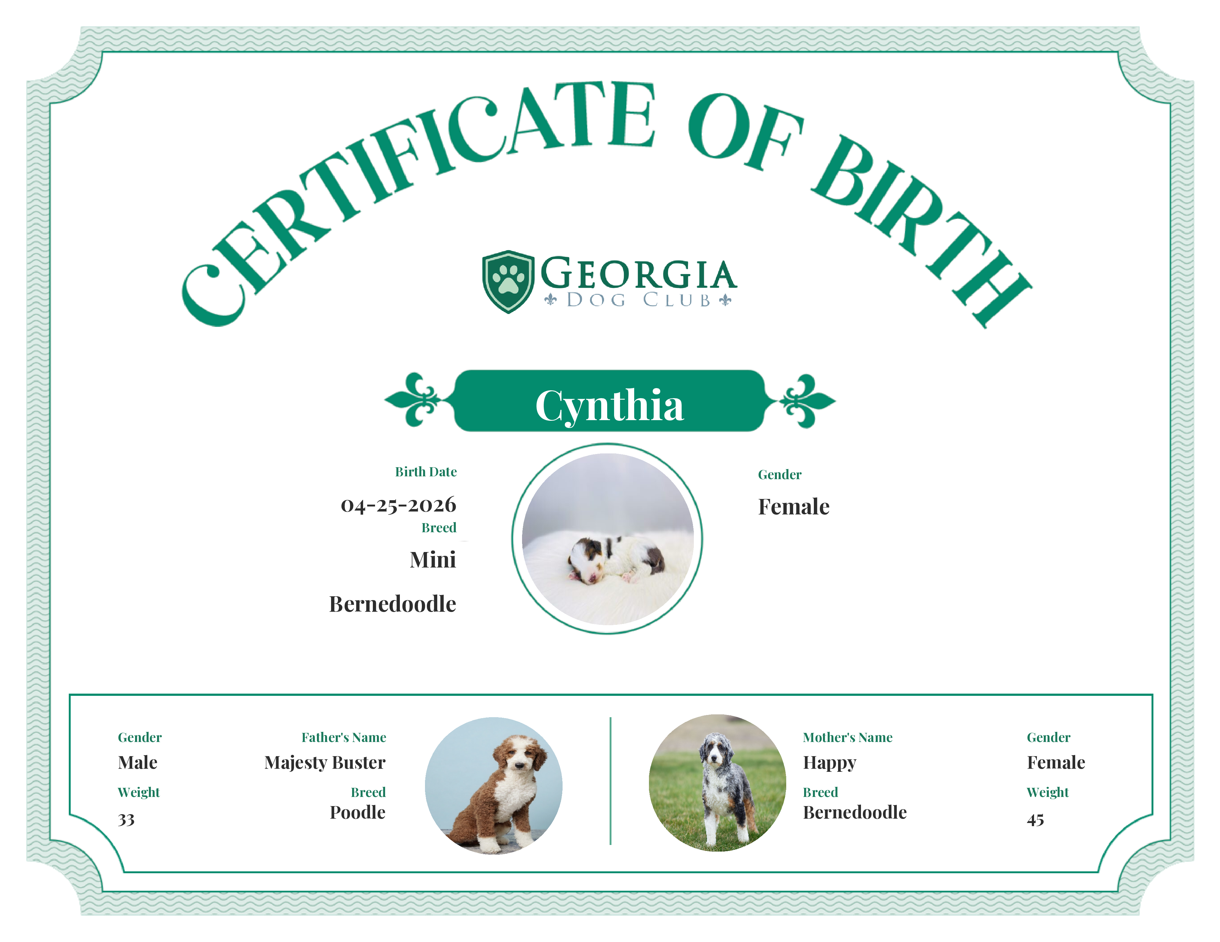Cynthia's Birth Certificate