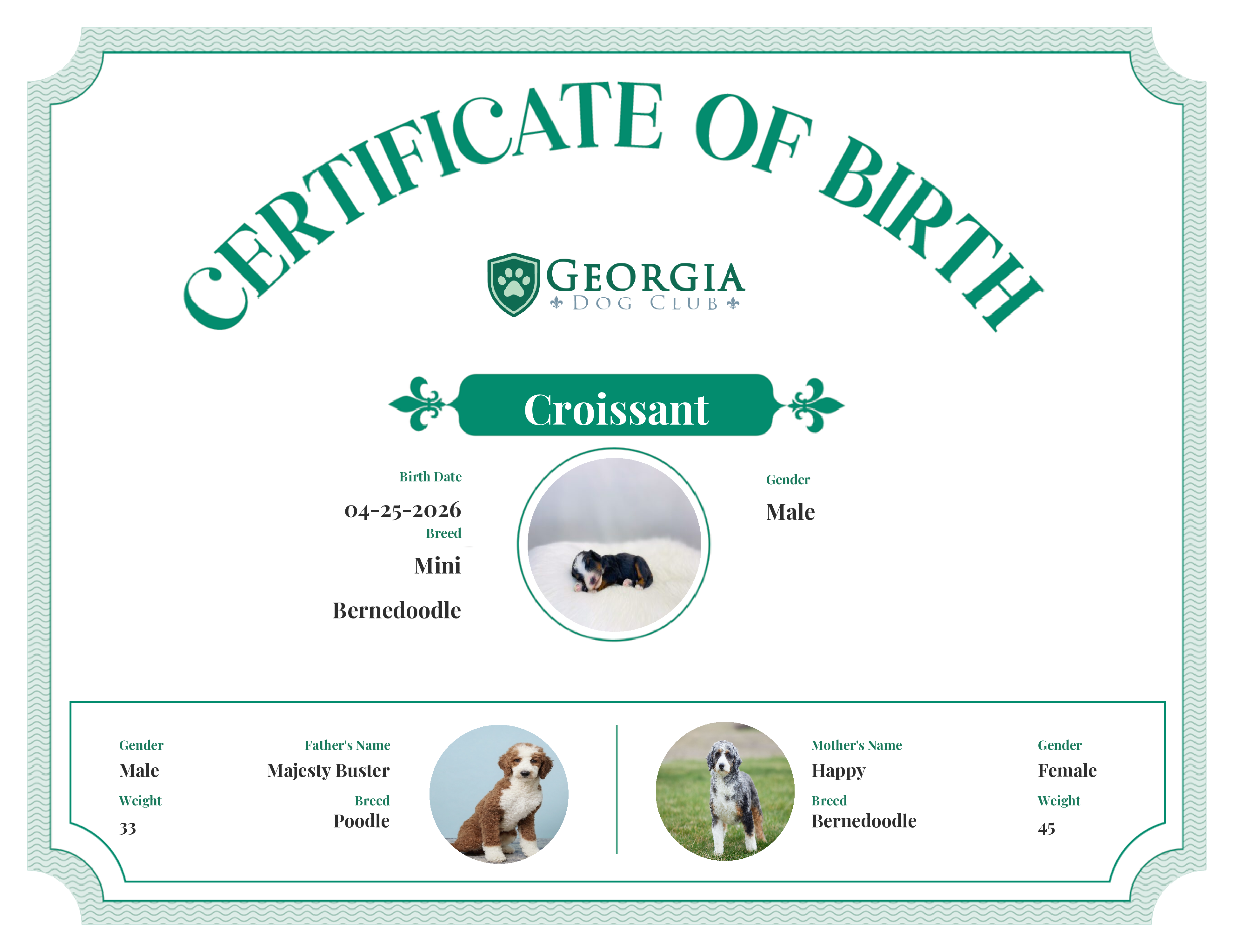 Croissant's Birth Certificate