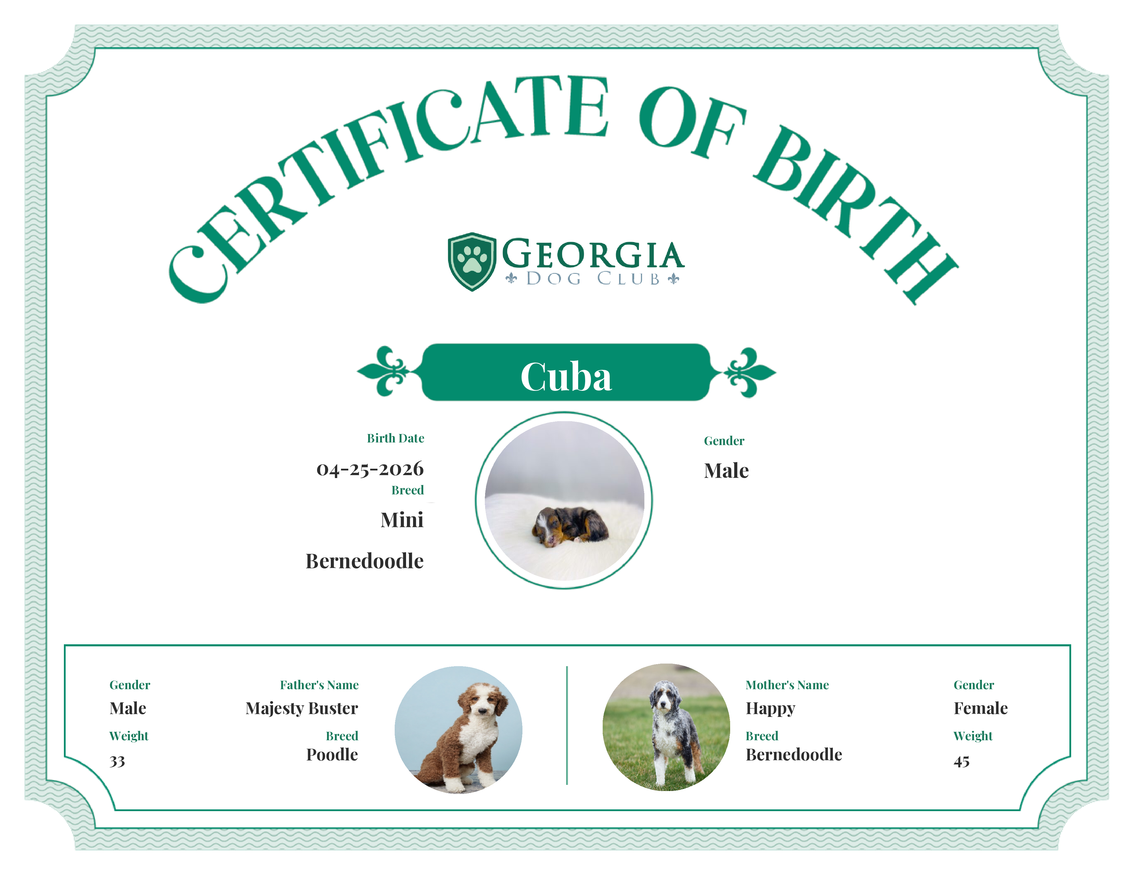 Cuba's Birth Certificate