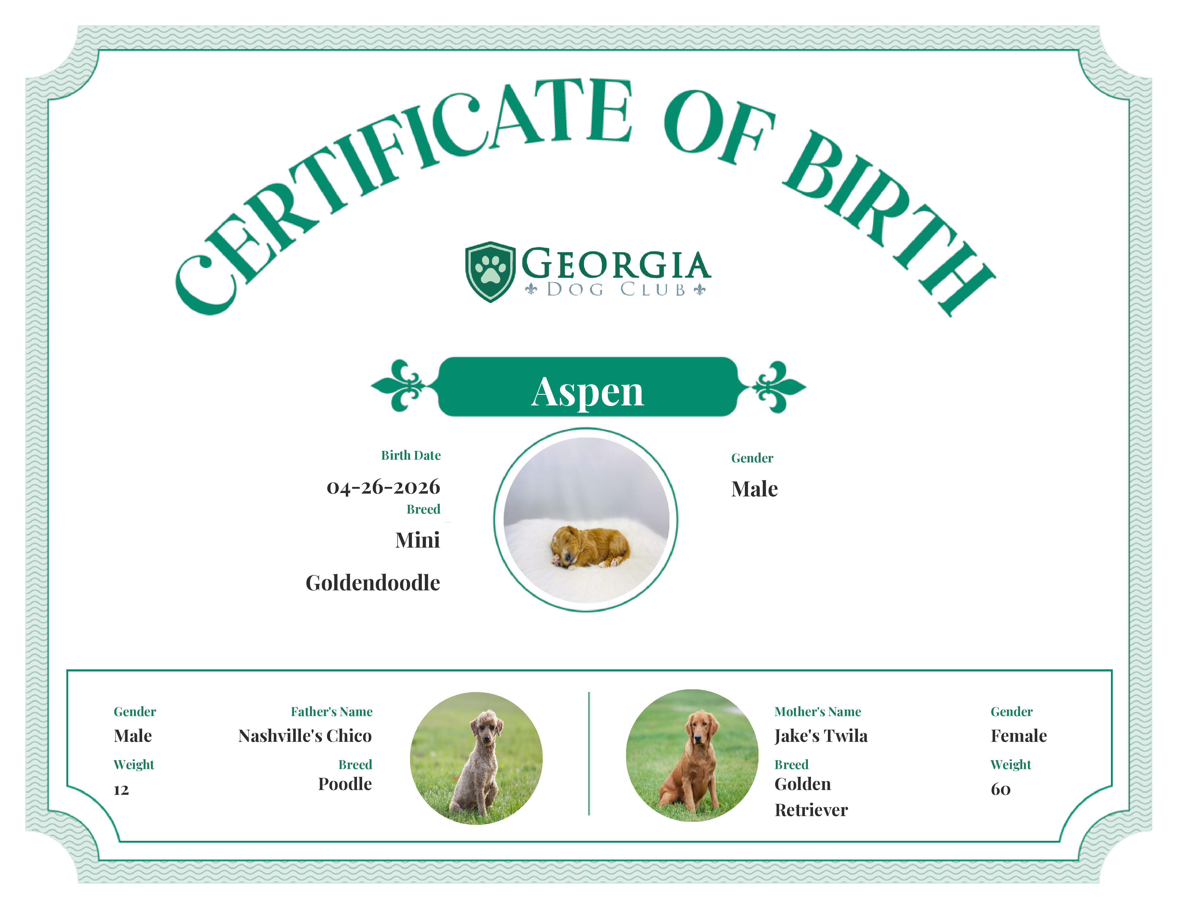 Aspen's Birth Certificate