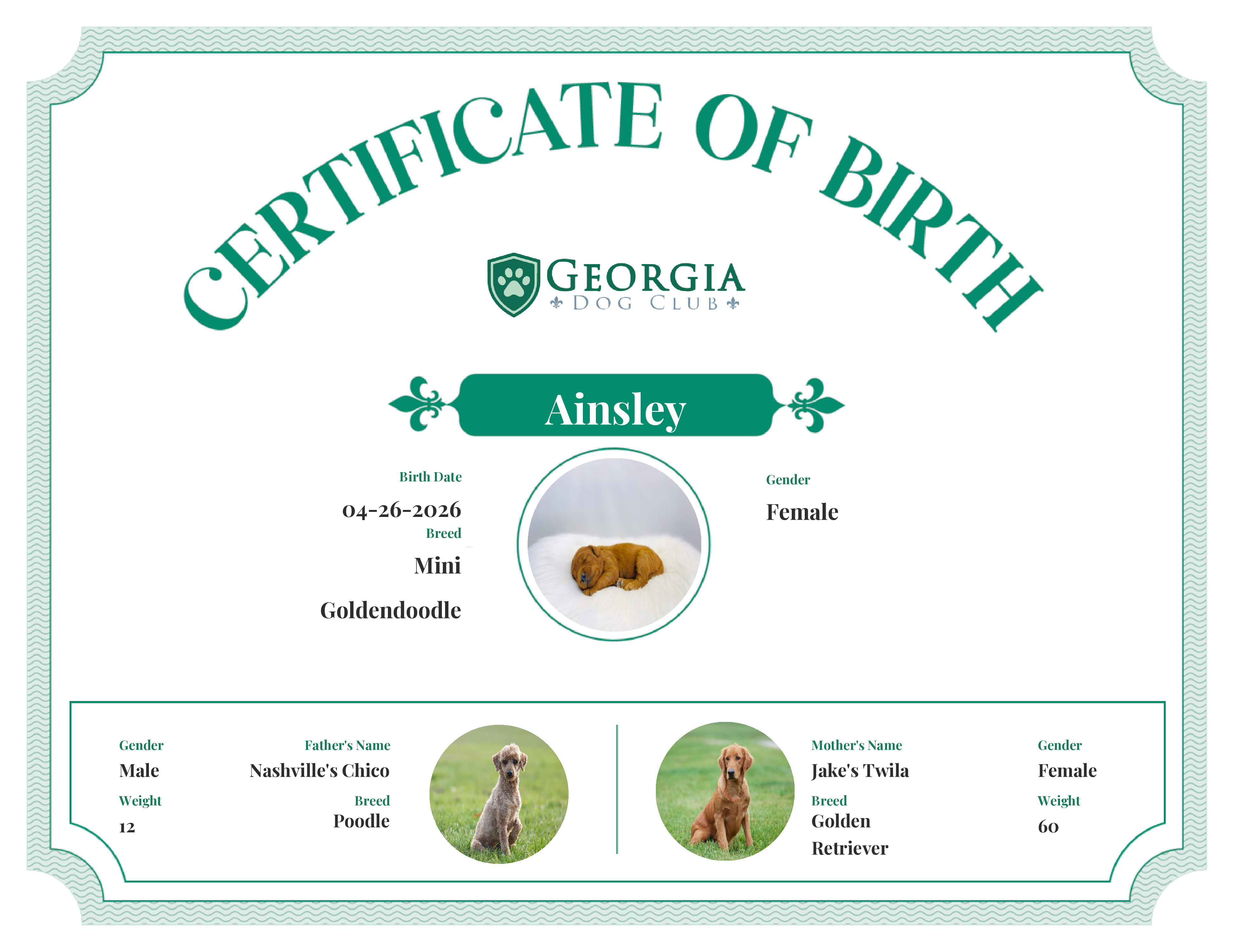 Ainsley's Birth Certificate