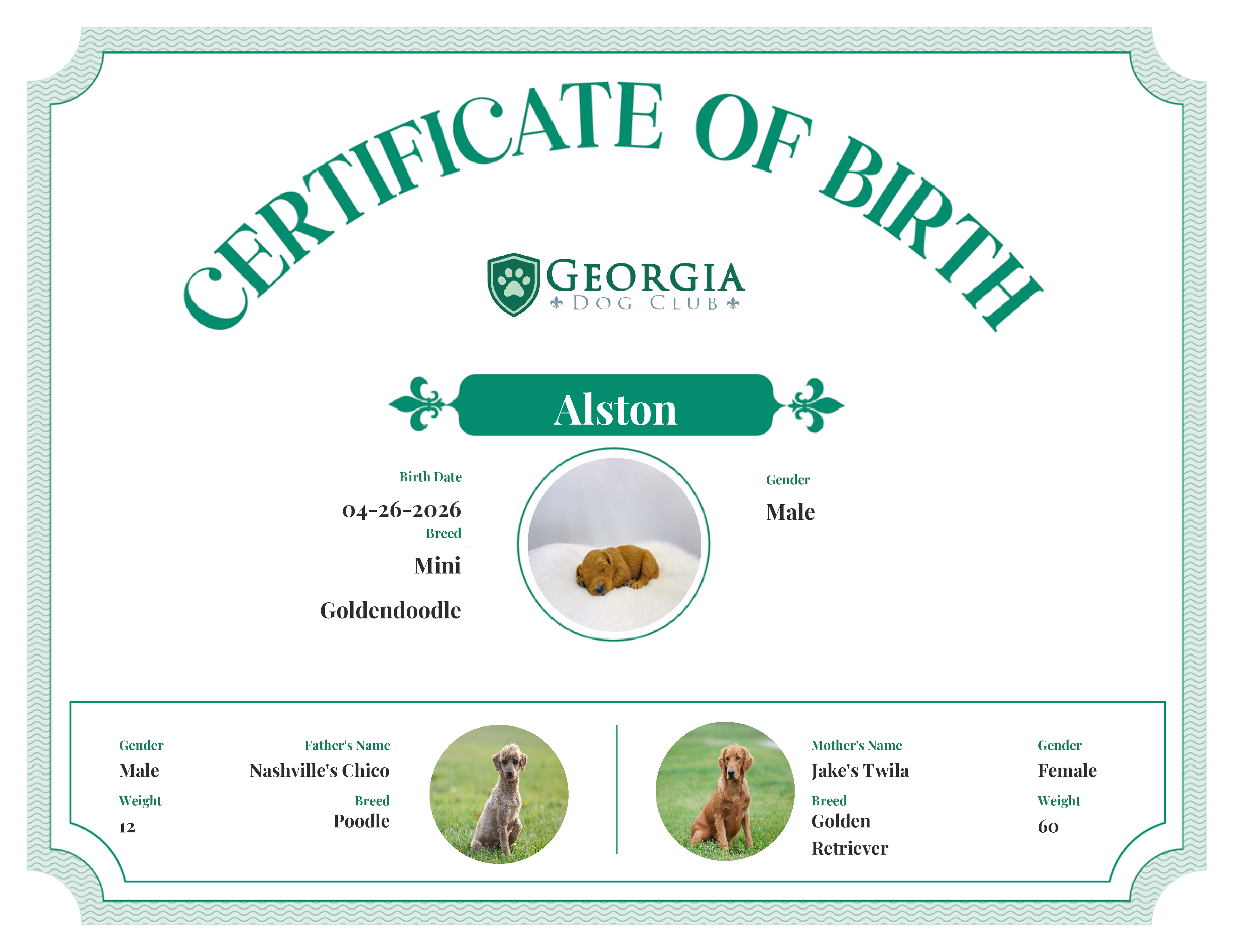 Alston's Birth Certificate