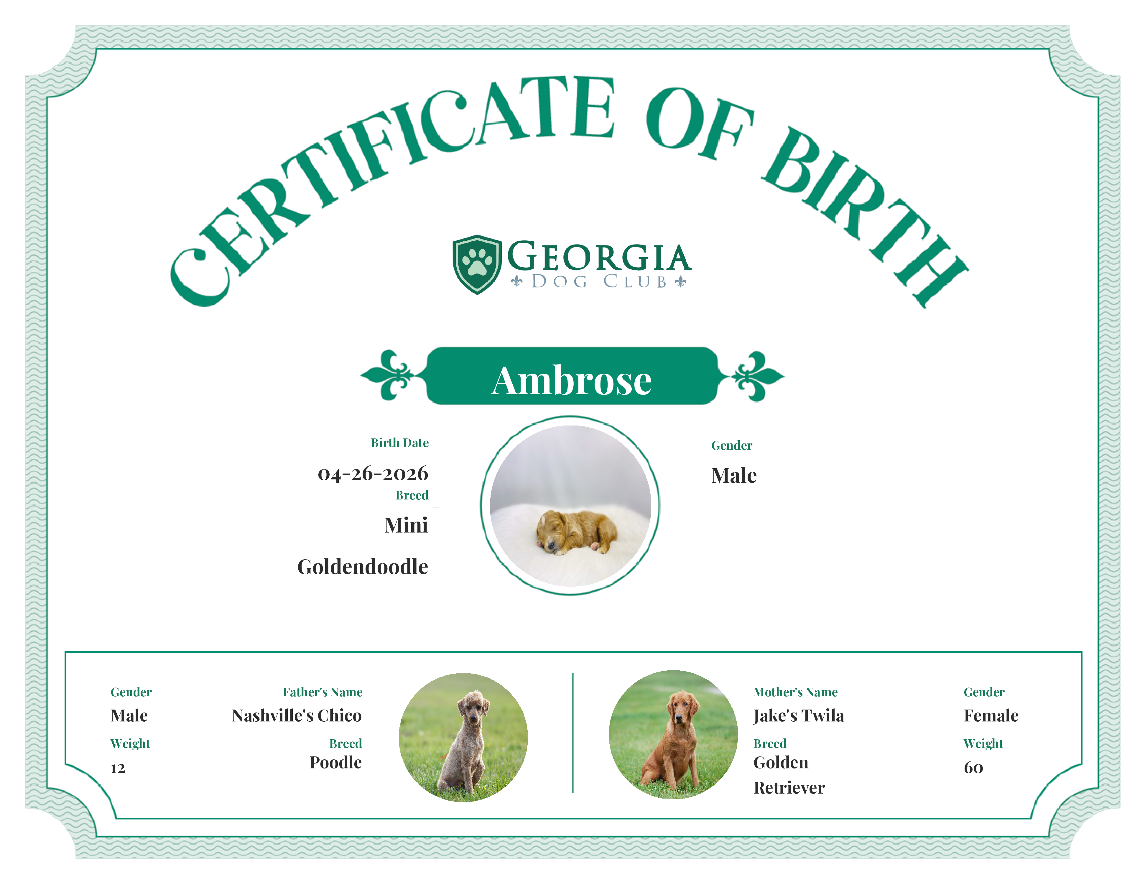 Ambrose's Birth Certificate