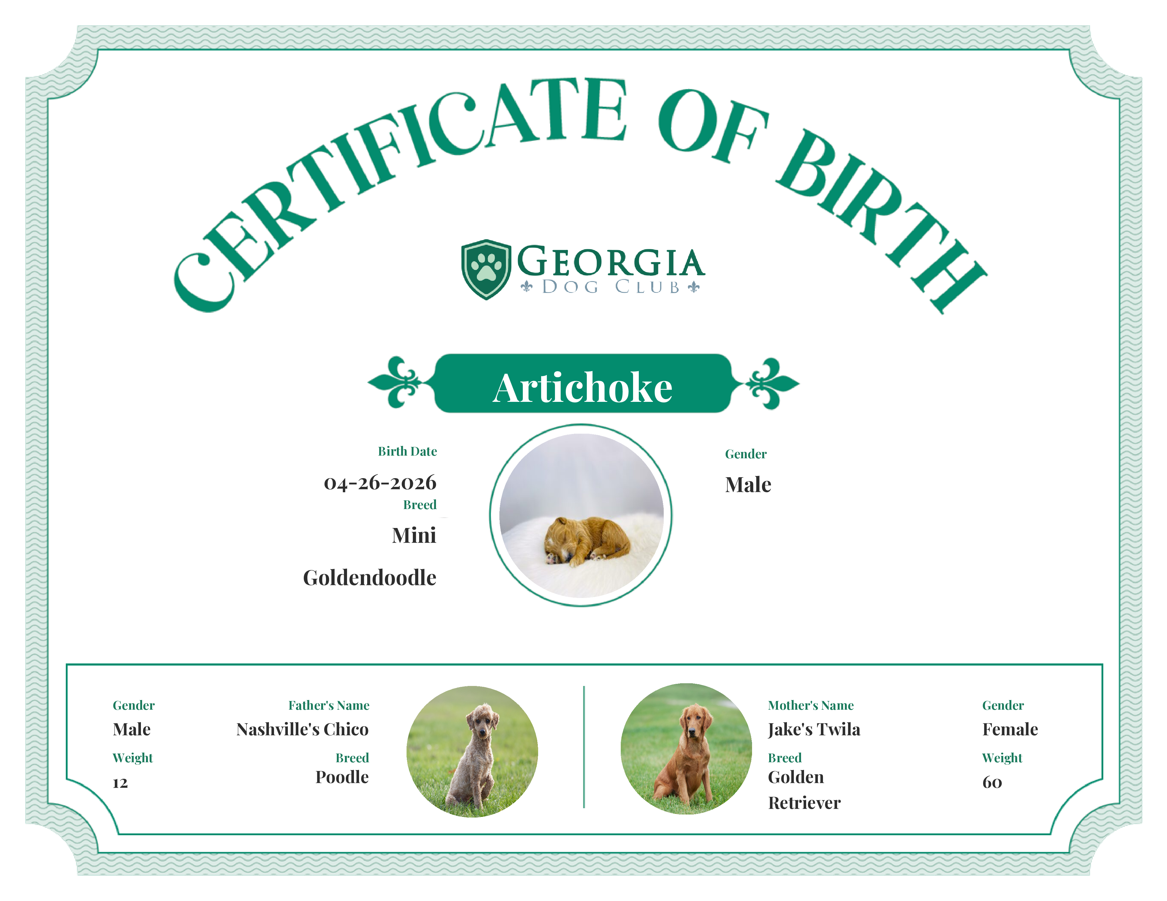 Artichoke's Birth Certificate