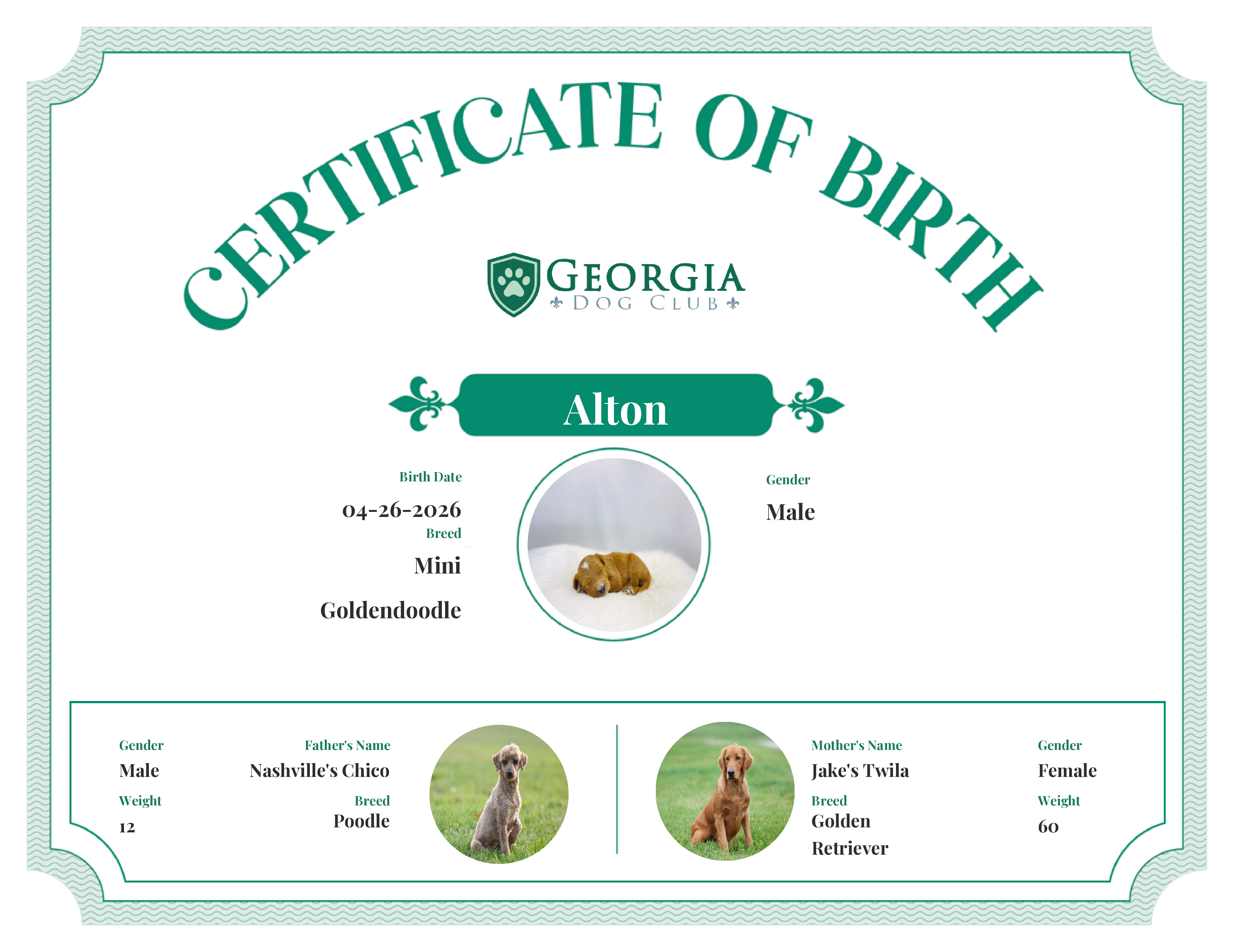 Alton's Birth Certificate