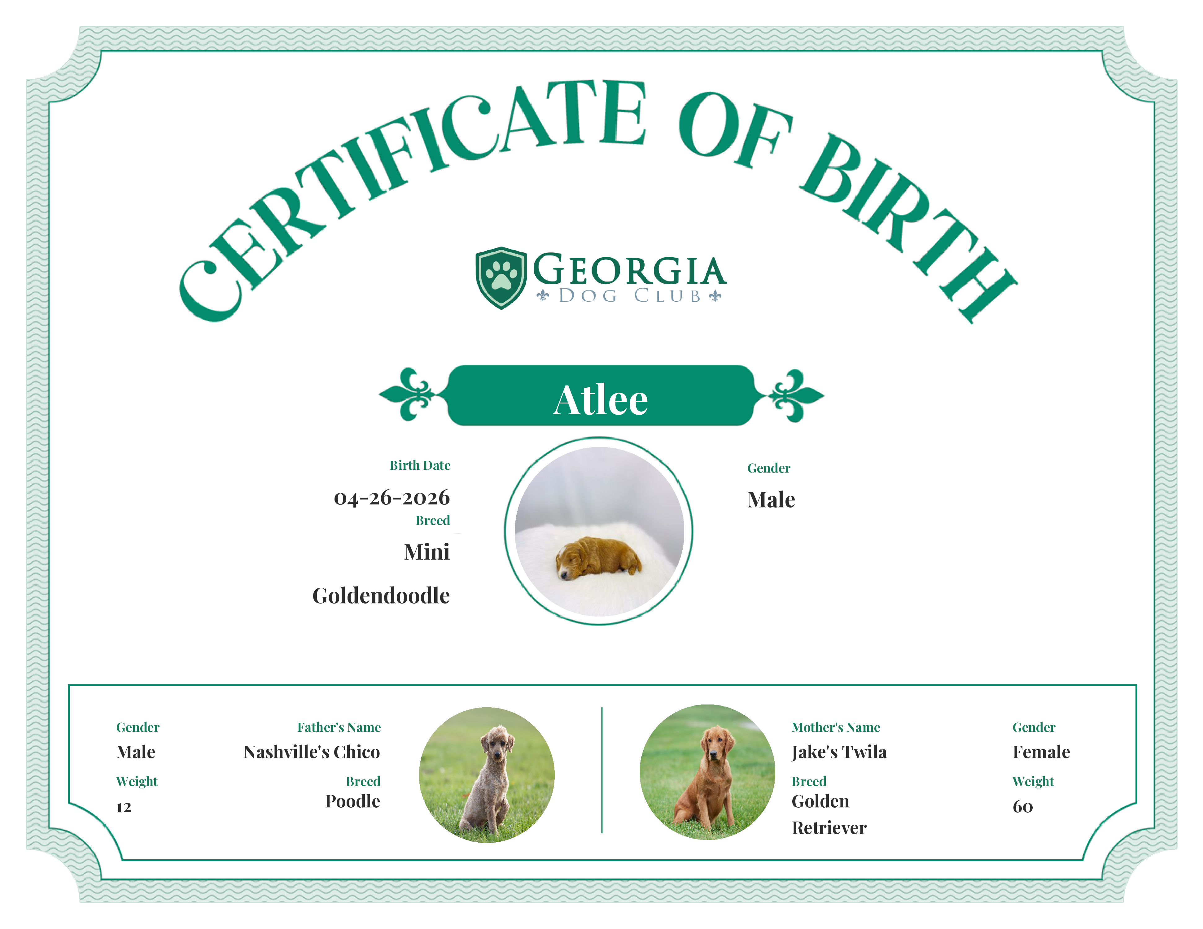 Atlee's Birth Certificate