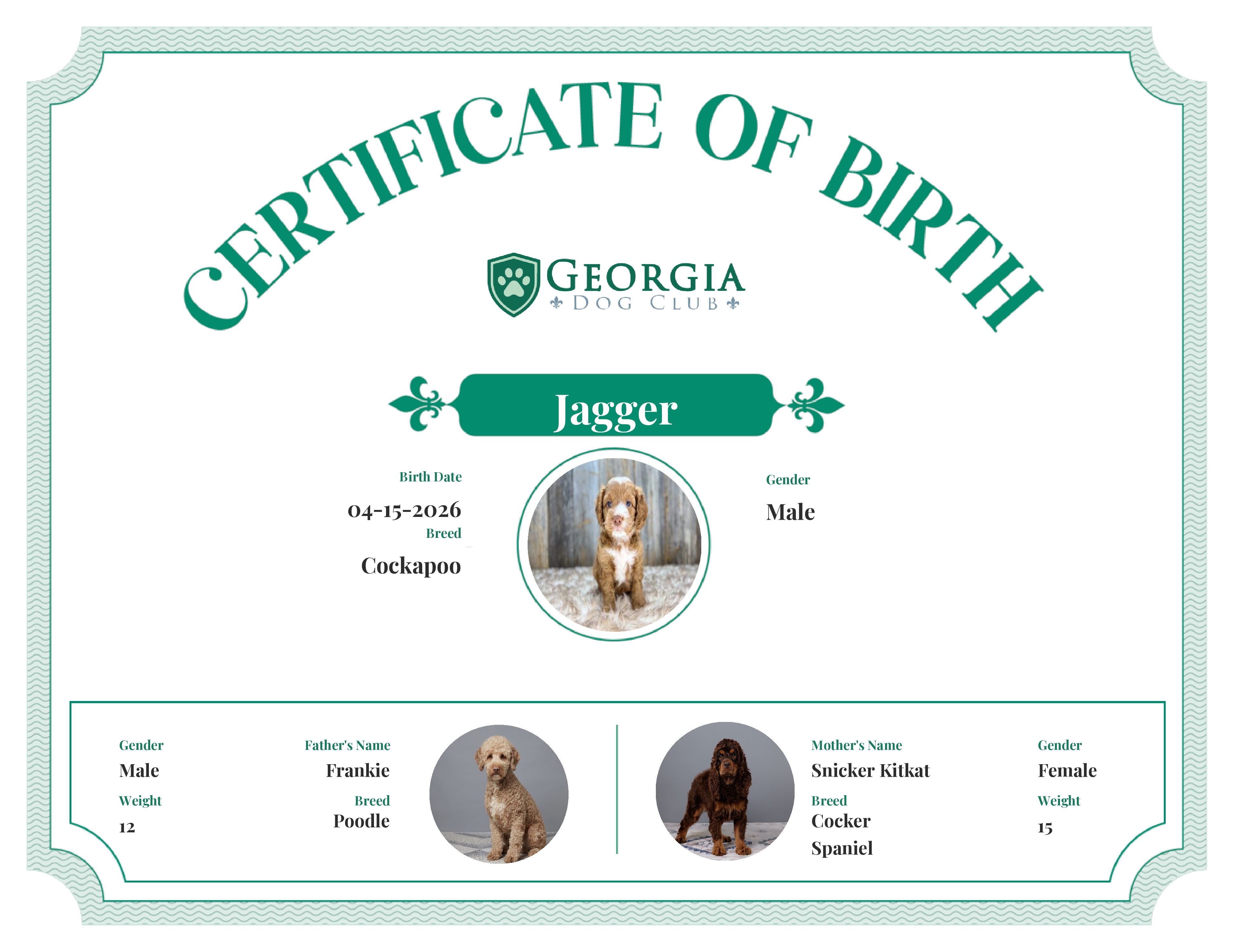 Jagger's Birth Certificate