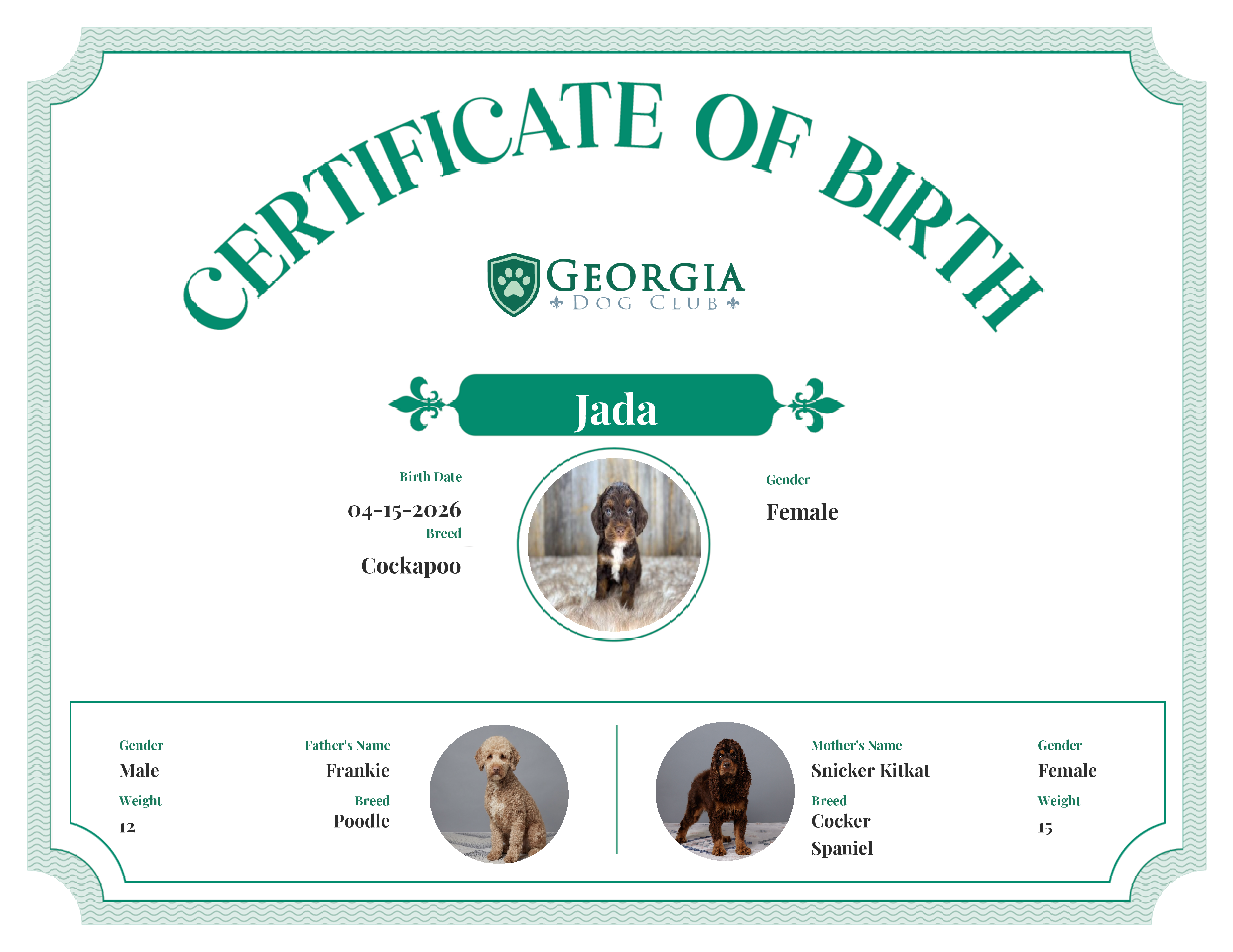 Jada's Birth Certificate
