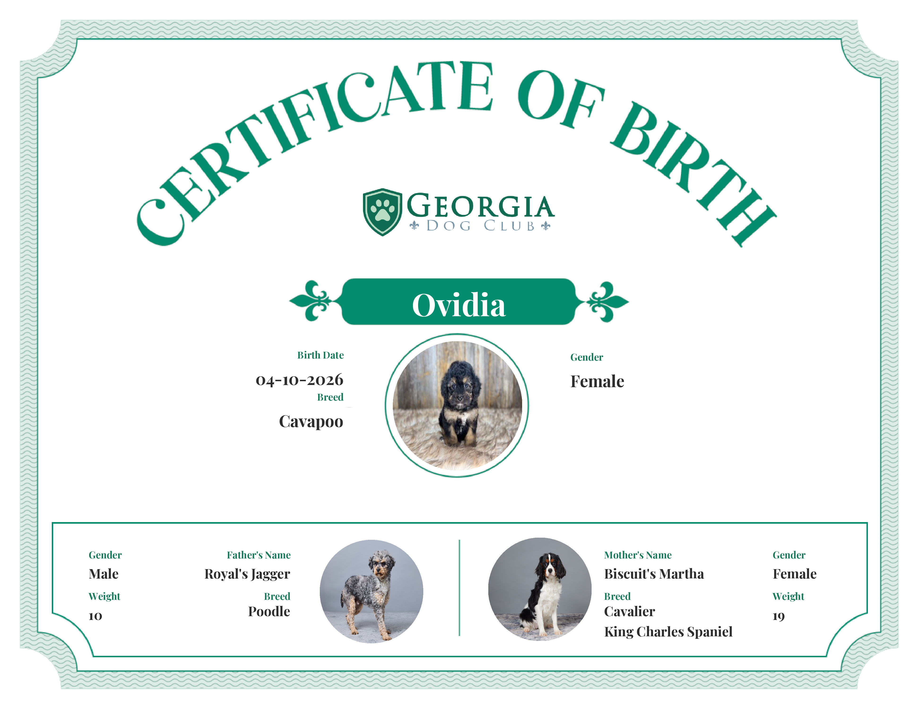 Ovidia's Birth Certificate
