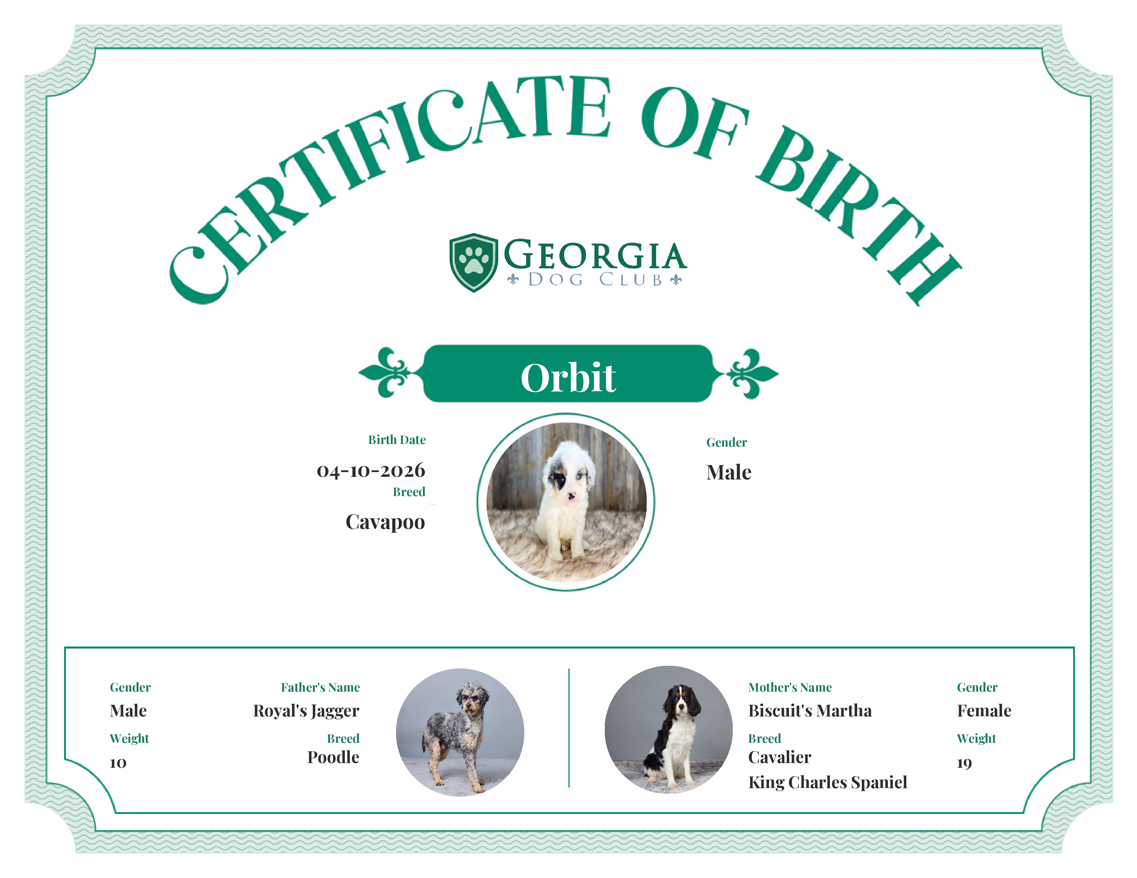Orbit's Birth Certificate
