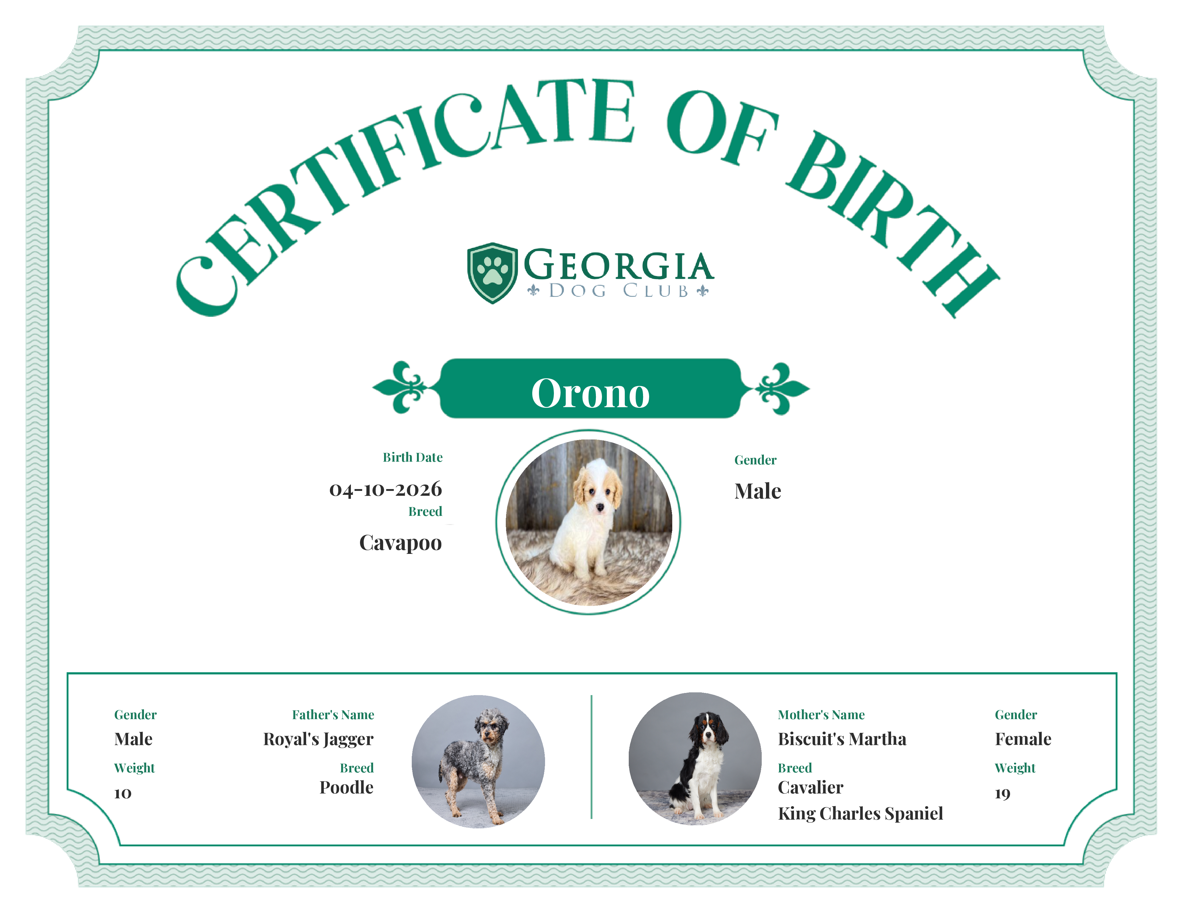 Orono's Birth Certificate