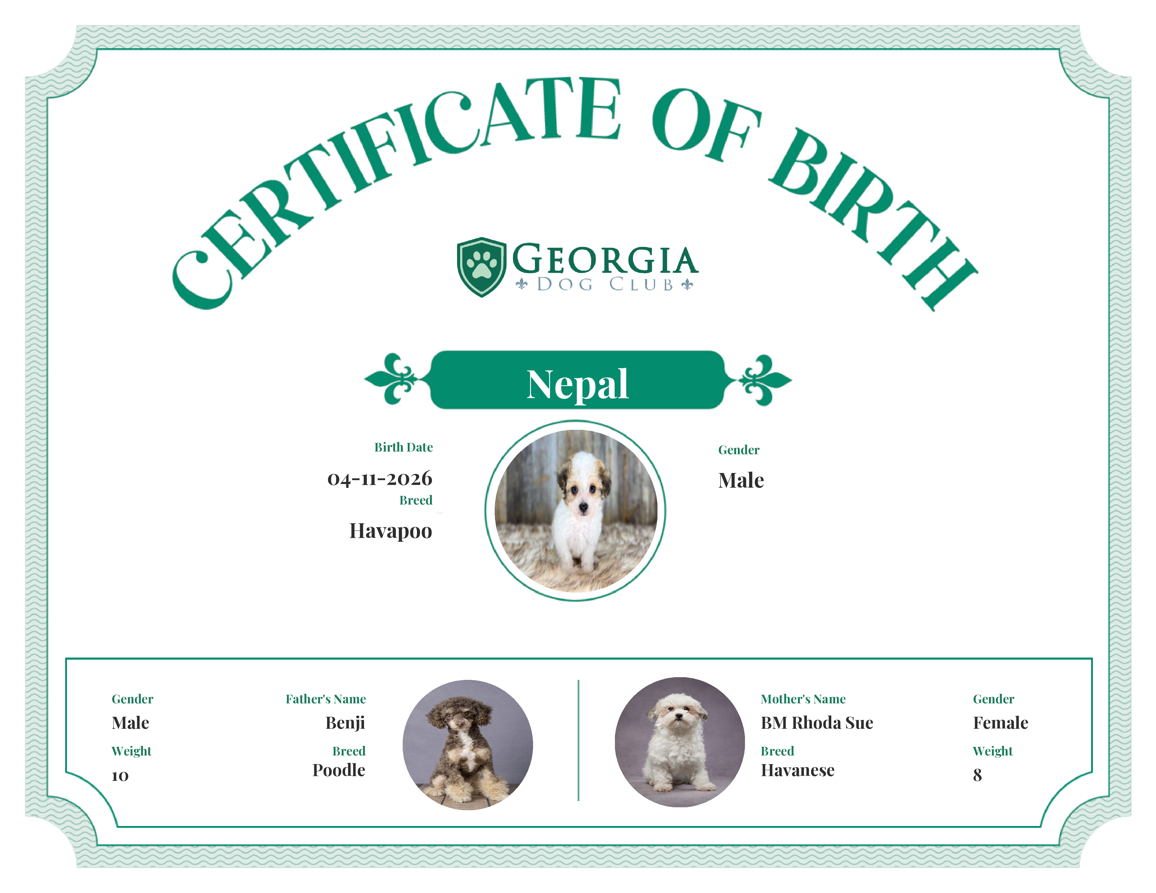 Nepal's Birth Certificate