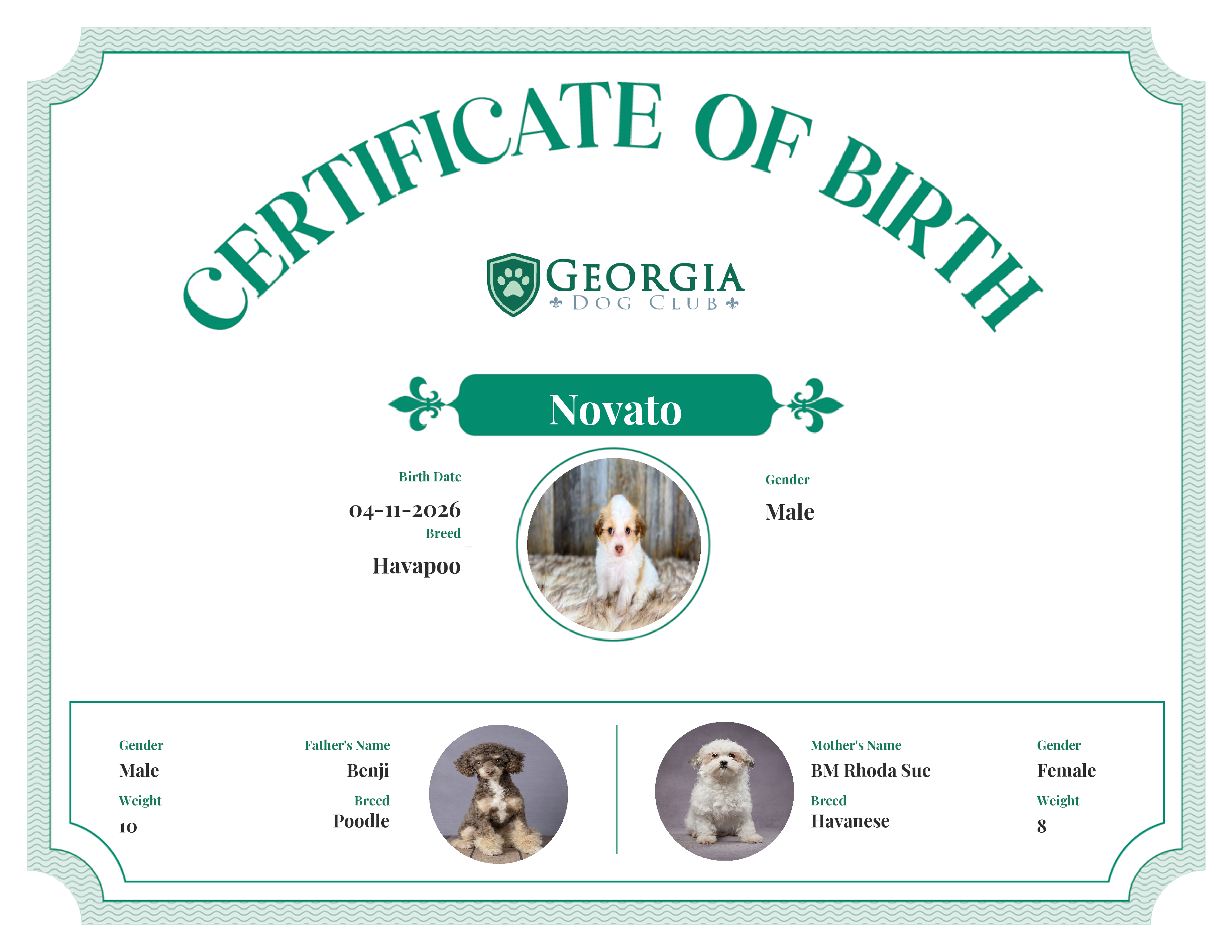 Novato's Birth Certificate