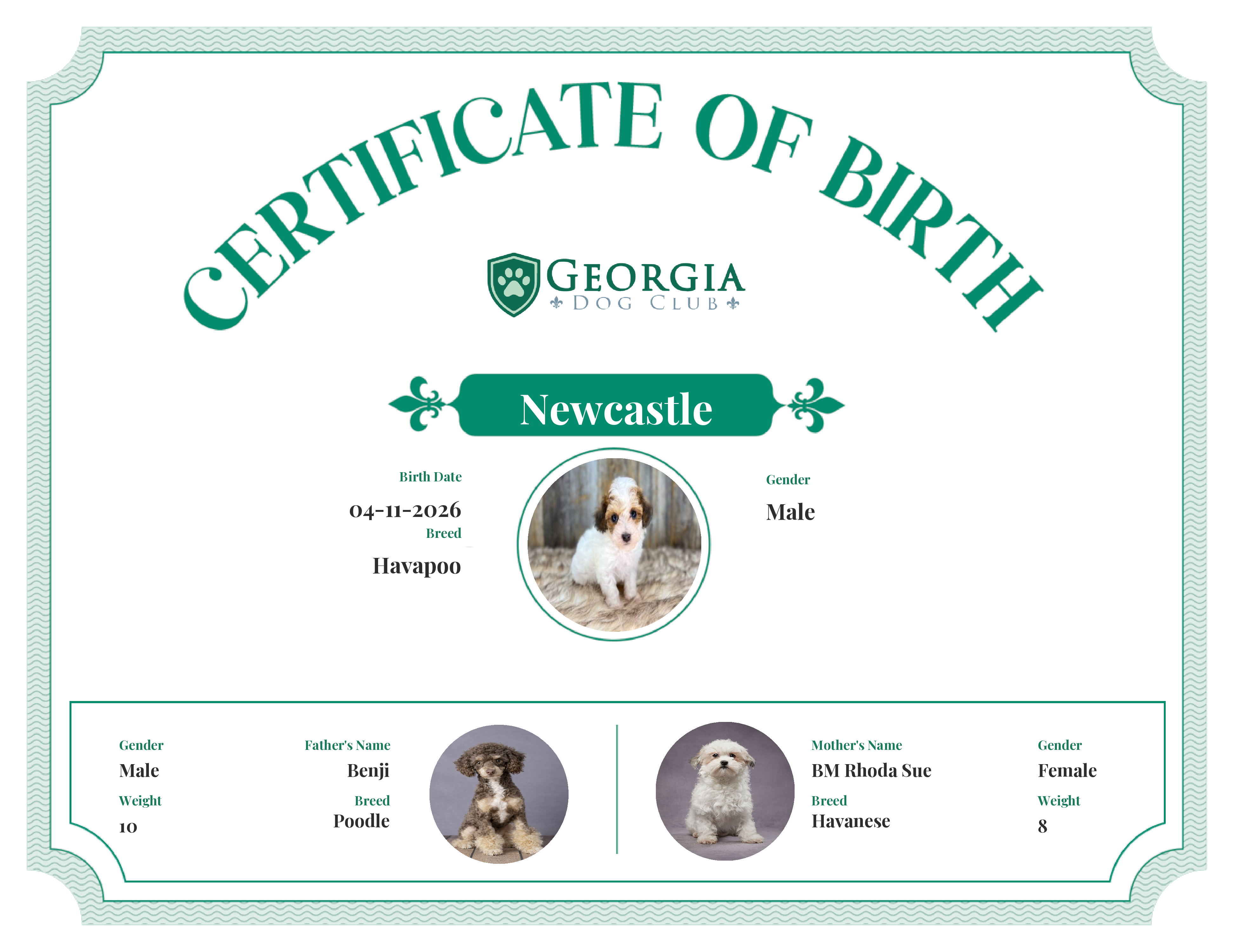 Newcastle's Birth Certificate