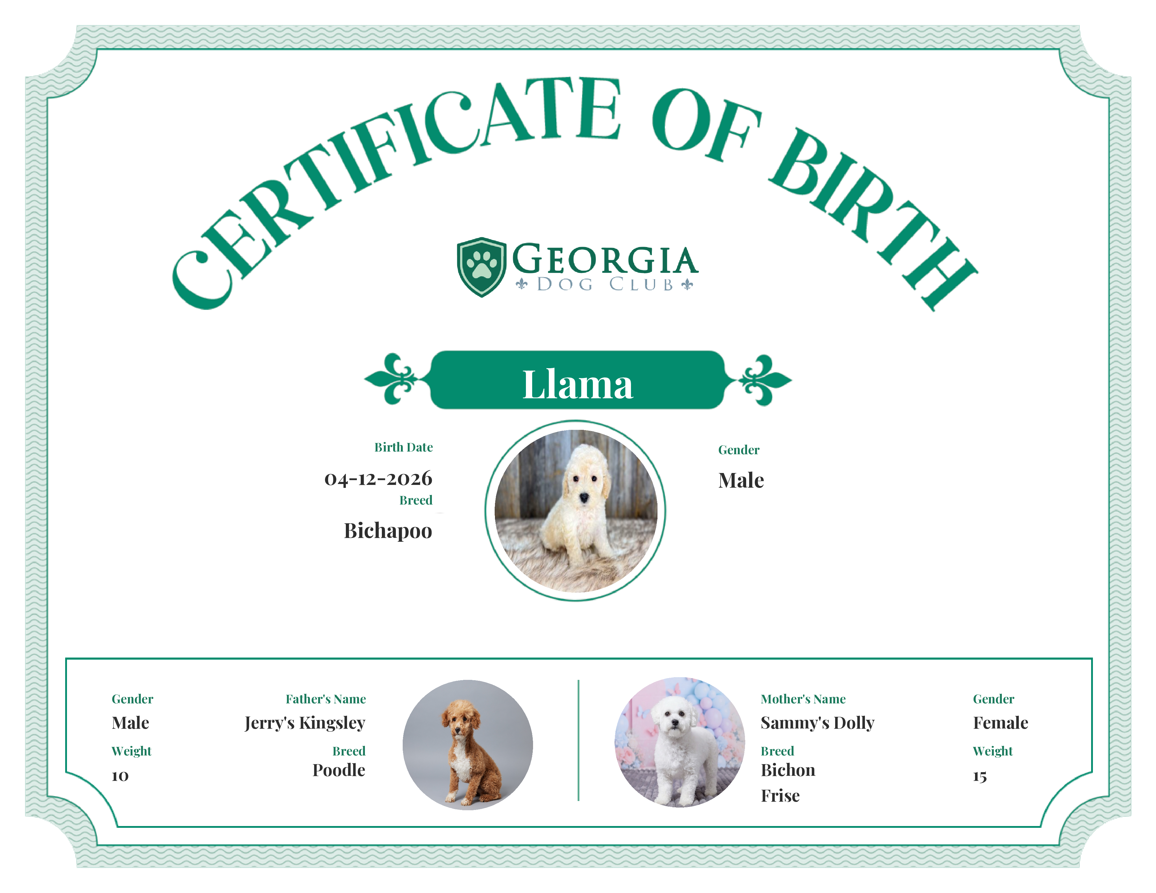 Llama's Birth Certificate