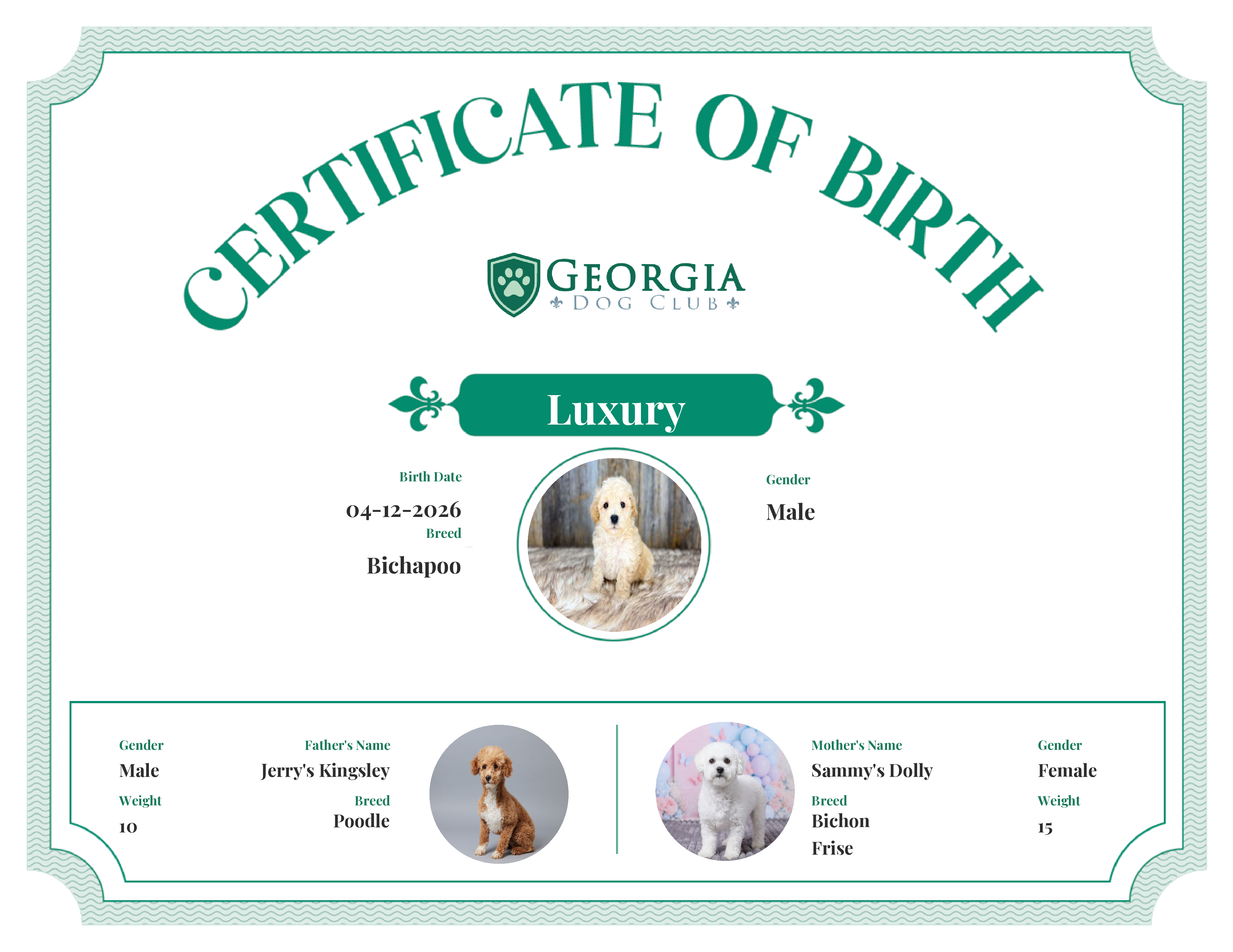 Luxury's Birth Certificate