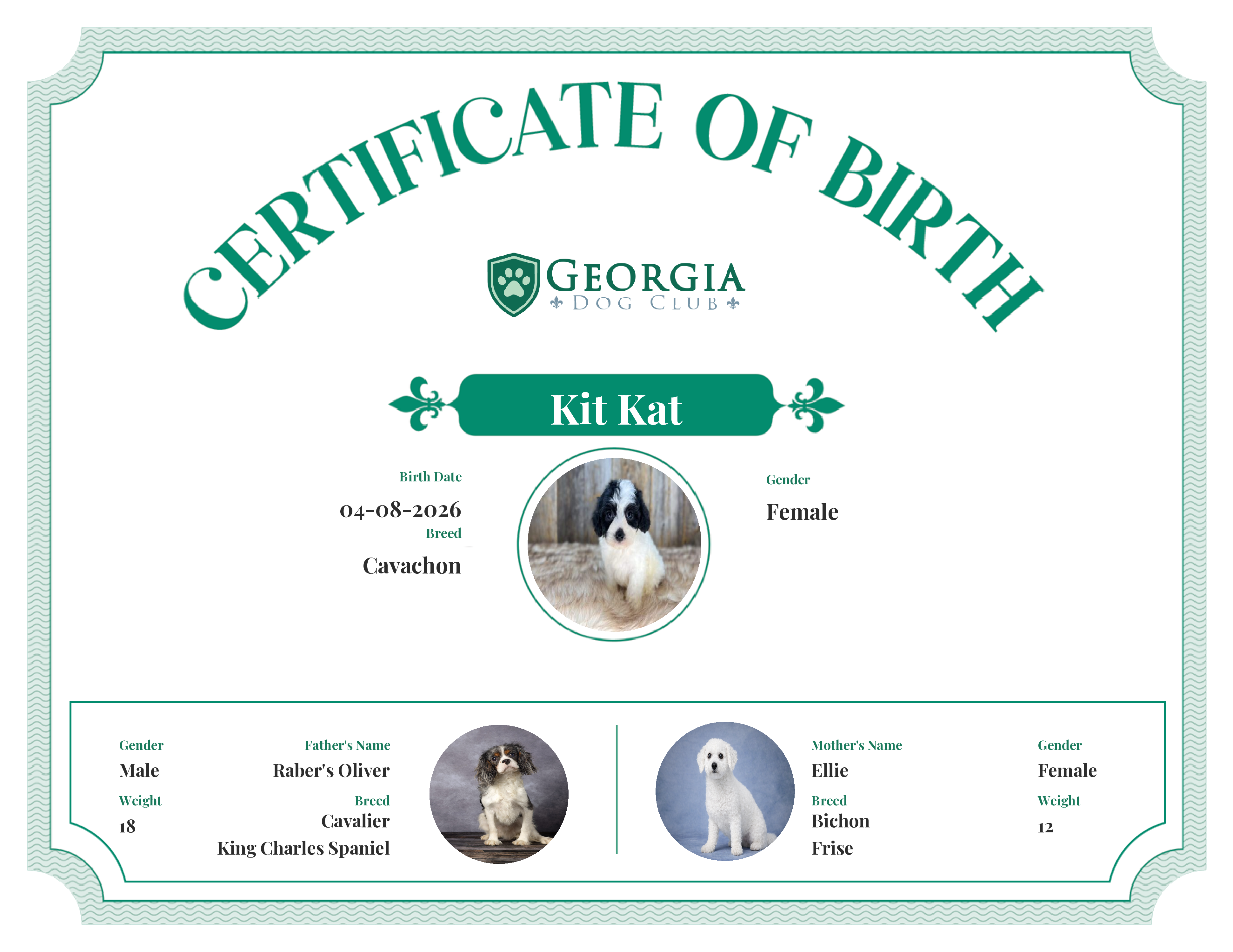 Kit Kat's Birth Certificate