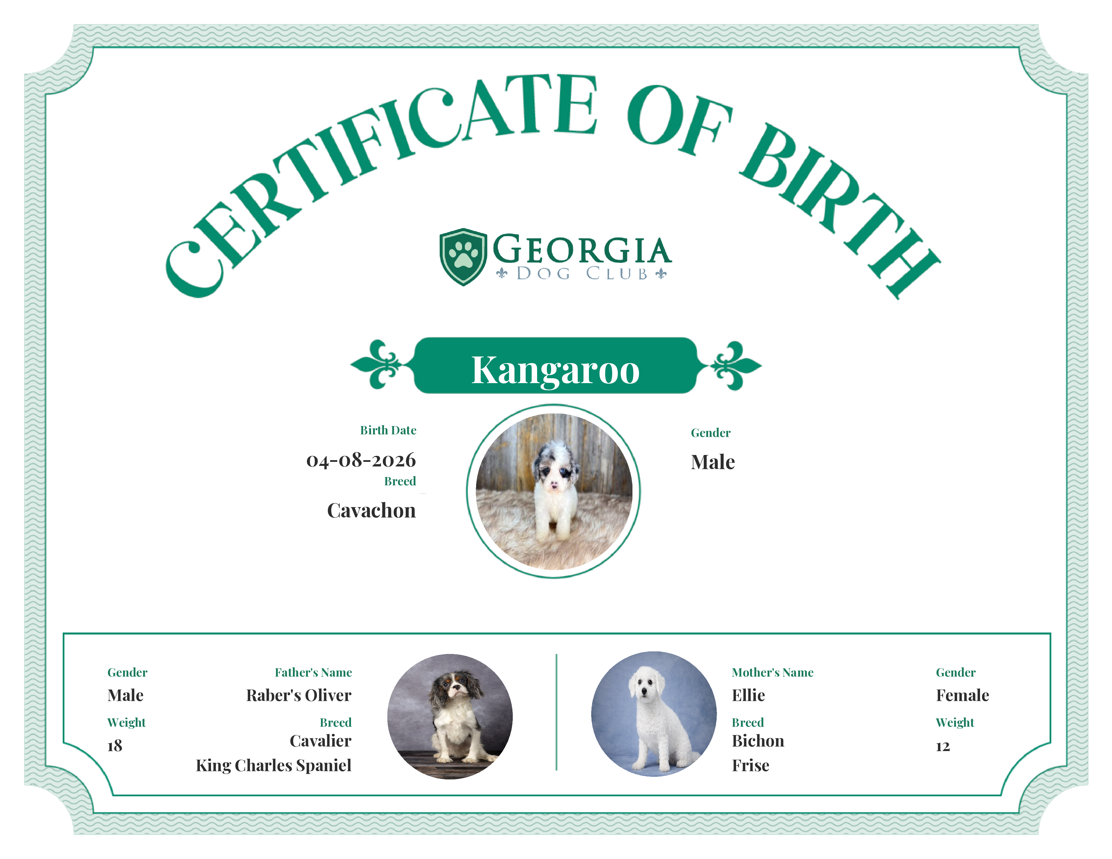 Kangaroo's Birth Certificate
