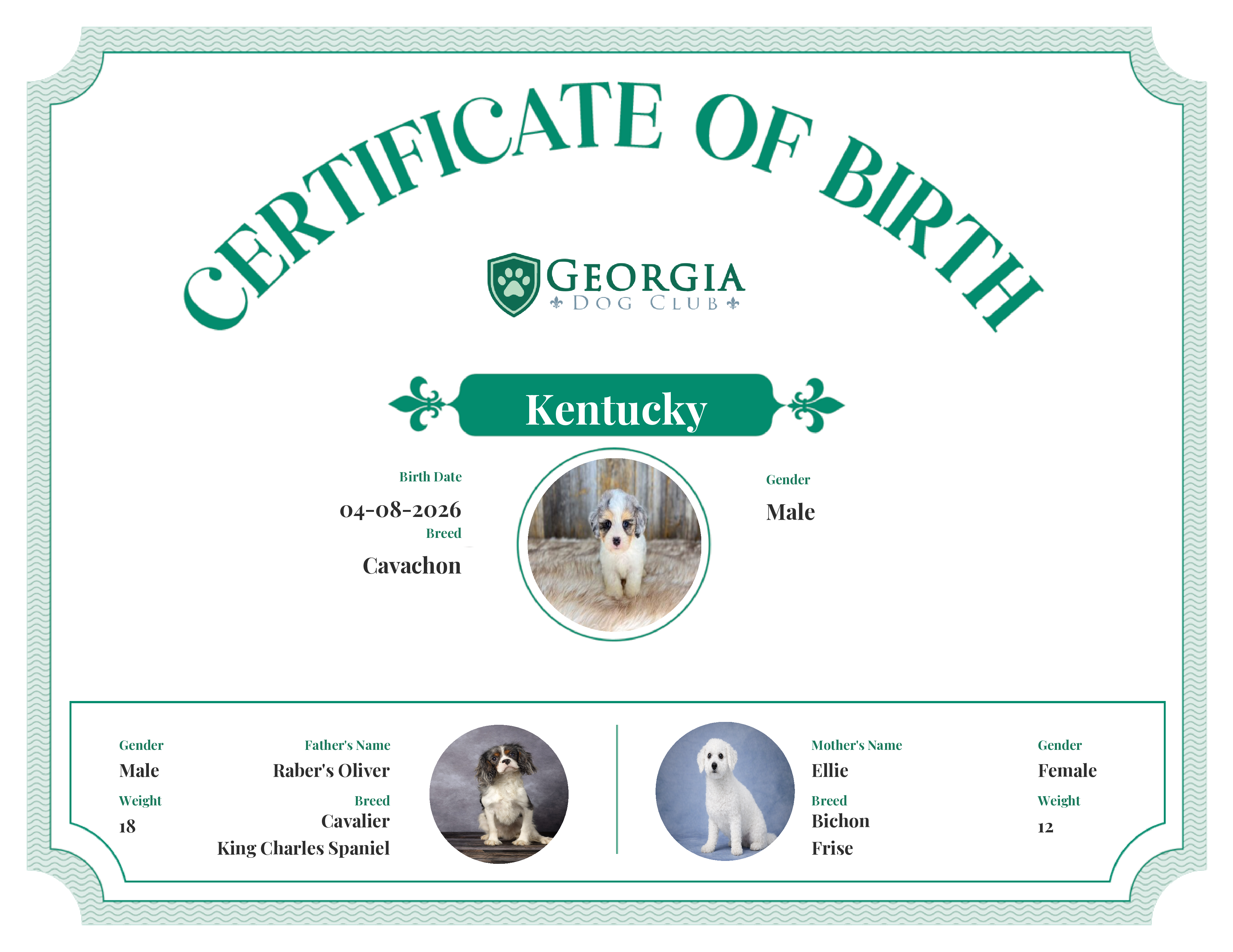 Kentucky's Birth Certificate