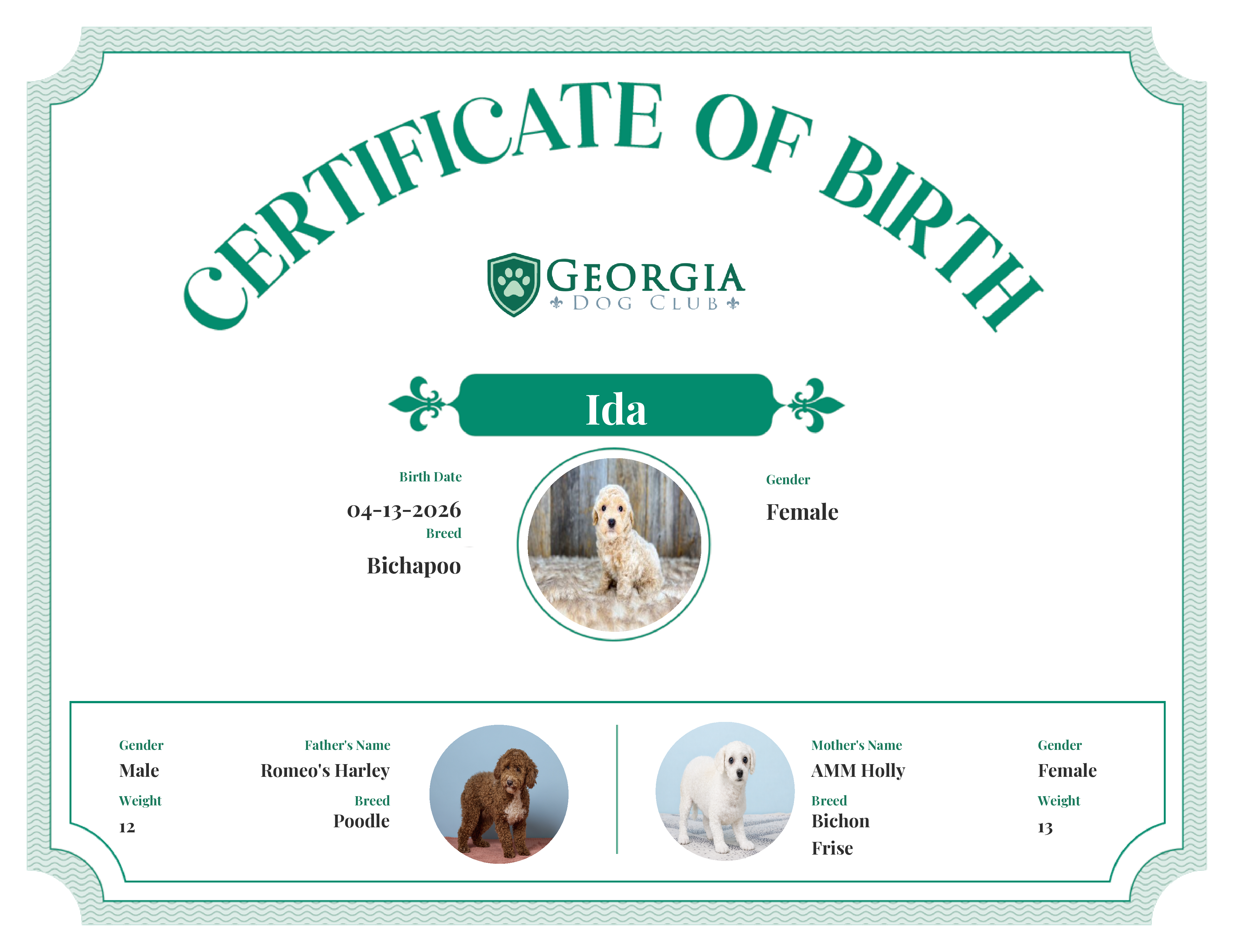 Ida's Birth Certificate