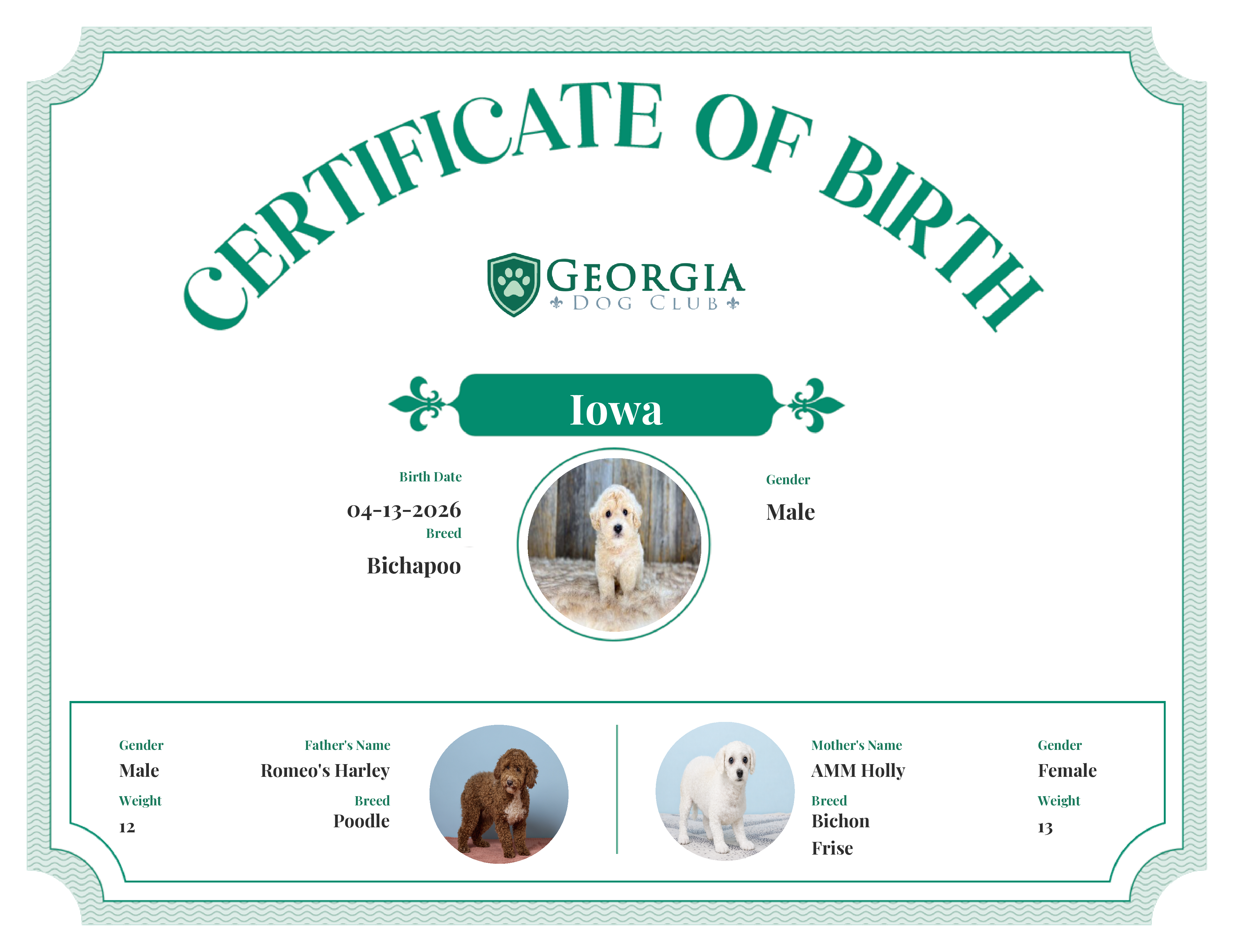 Iowa's Birth Certificate