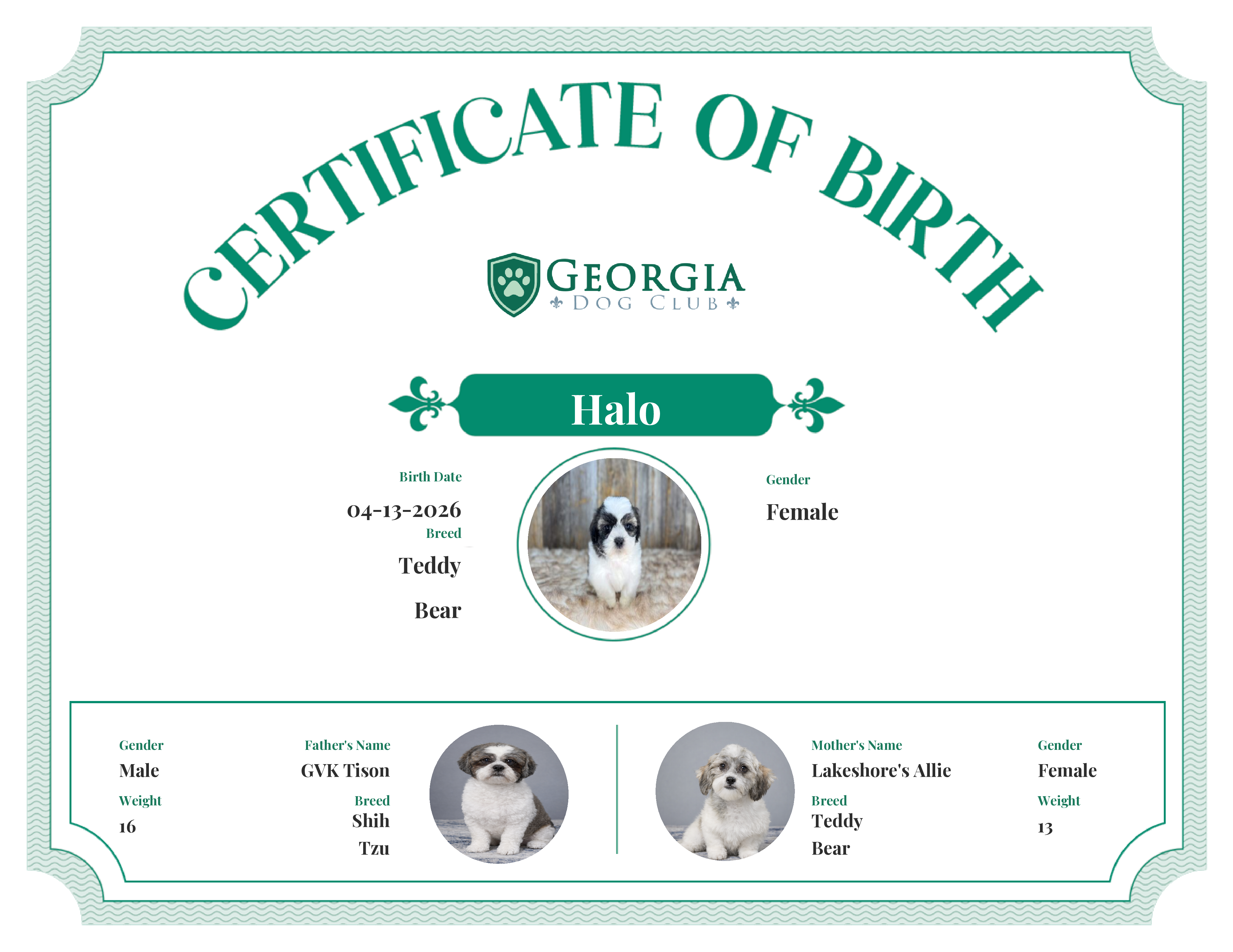 Halo's Birth Certificate