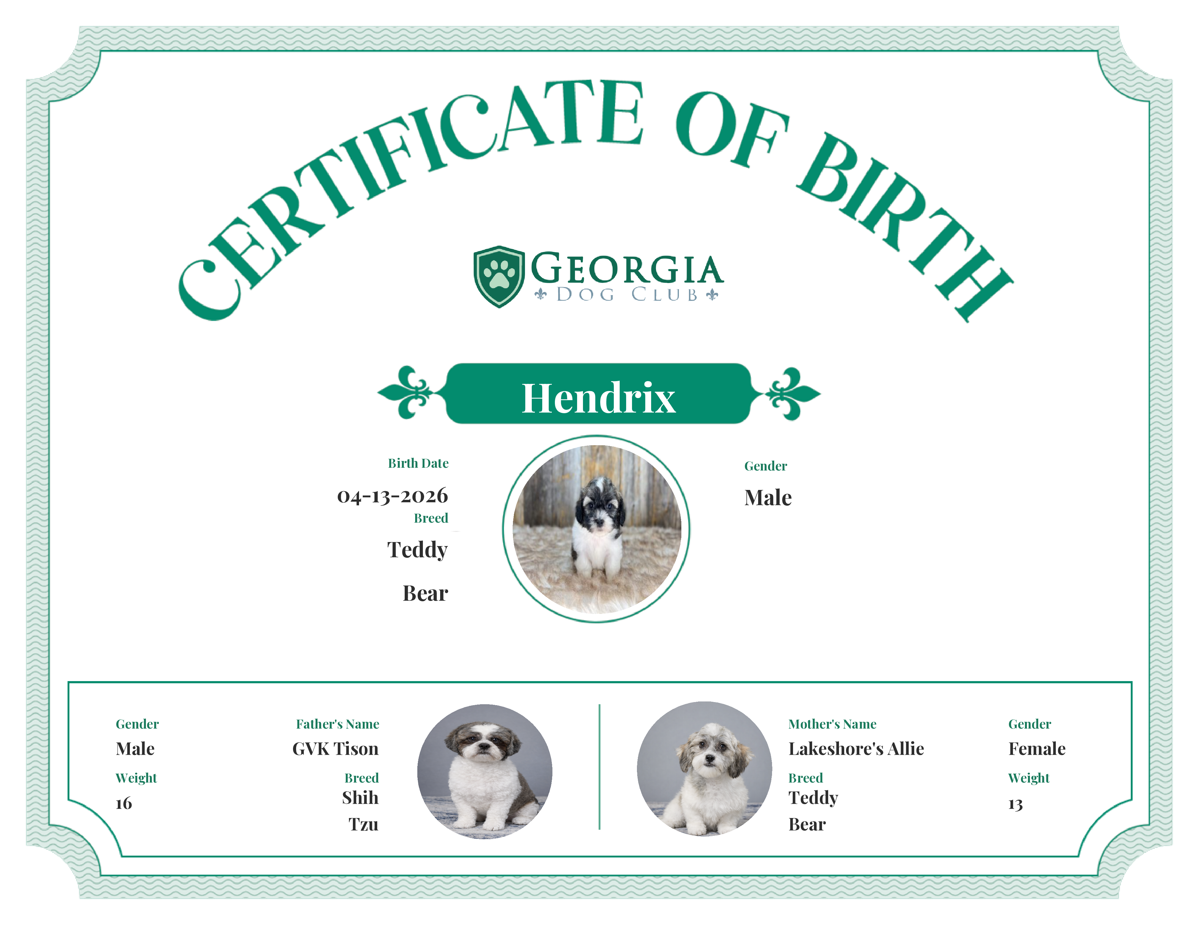 Hendrix's Birth Certificate