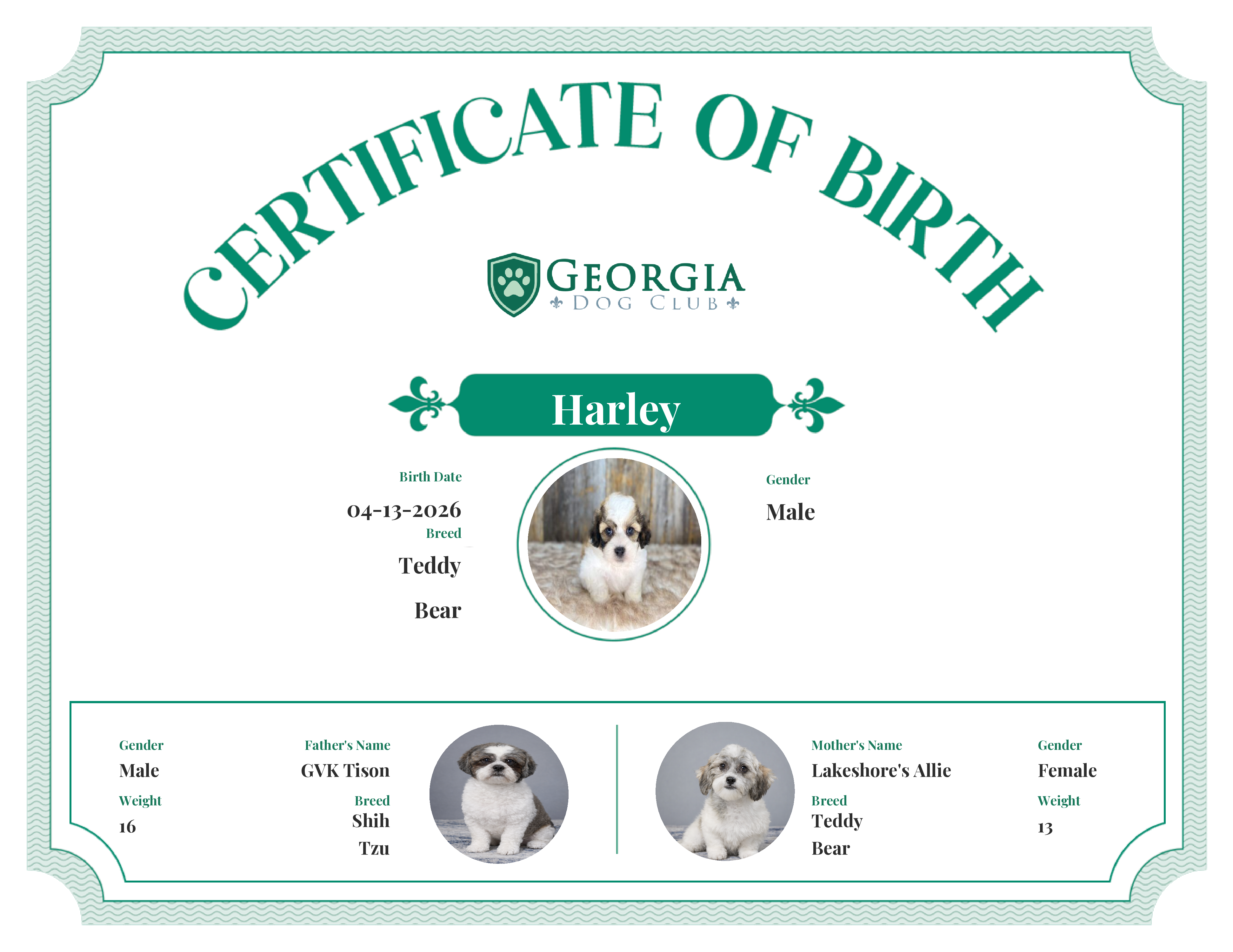 Harley's Birth Certificate
