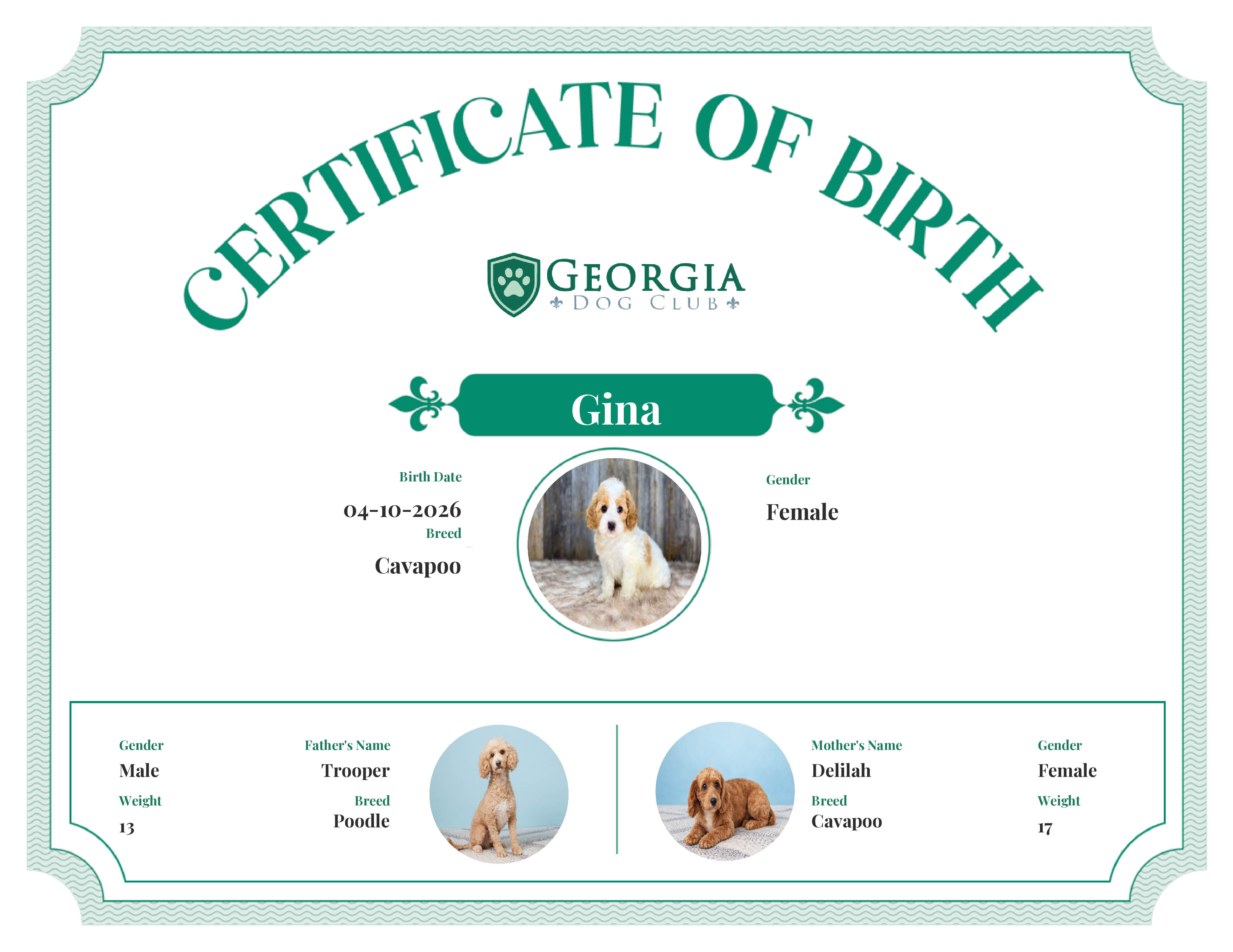 Gina's Birth Certificate
