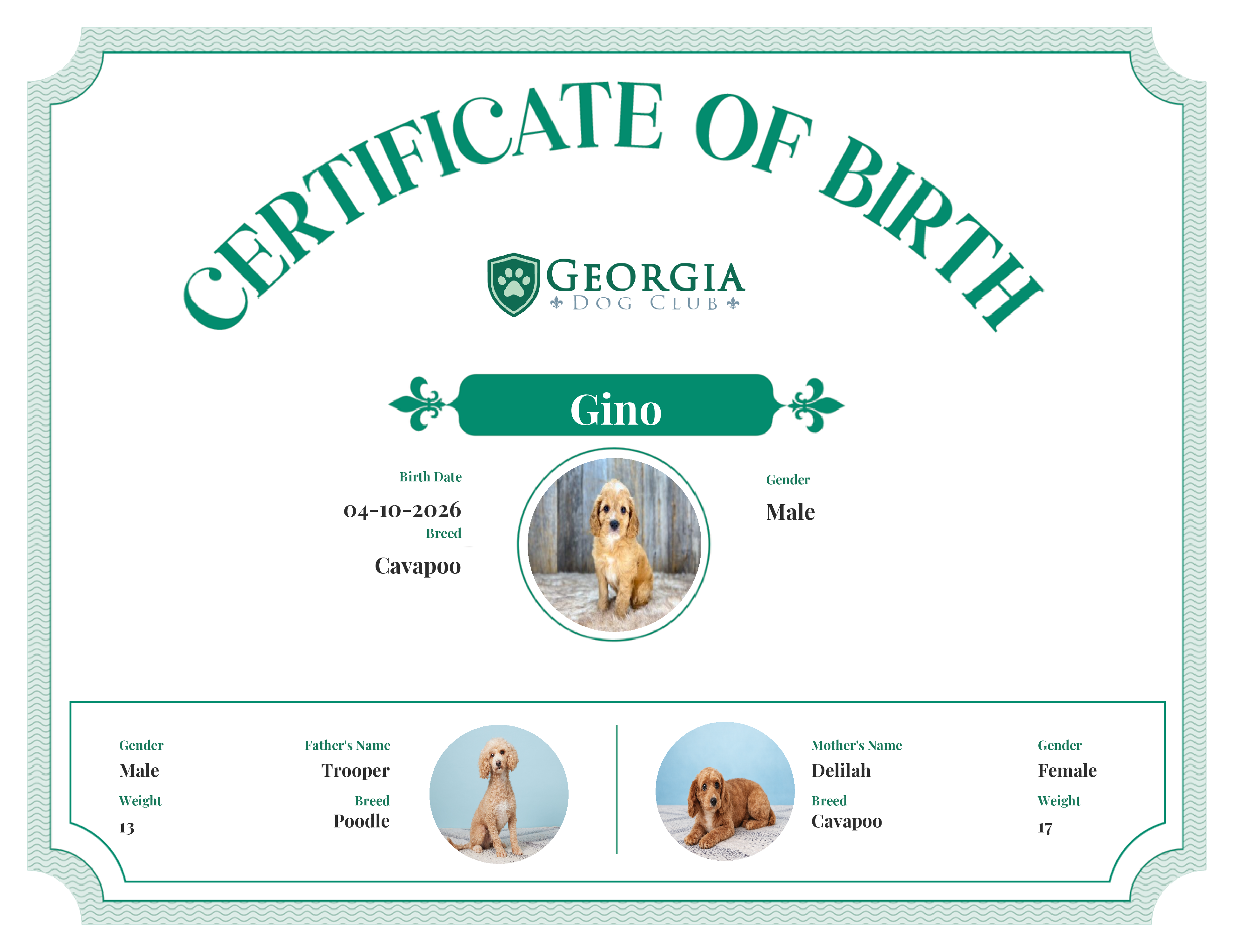 Gino's Birth Certificate