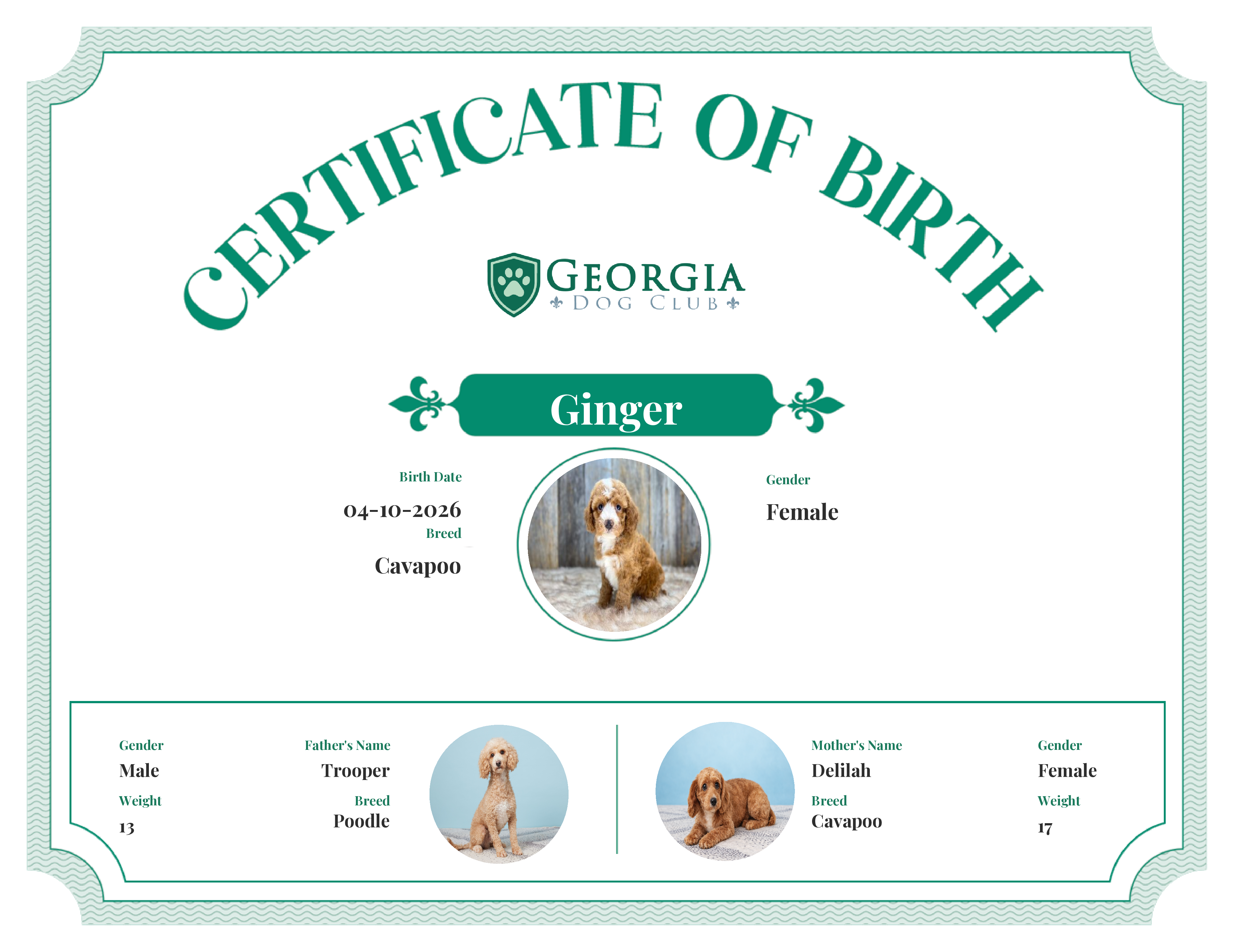 Ginger's Birth Certificate