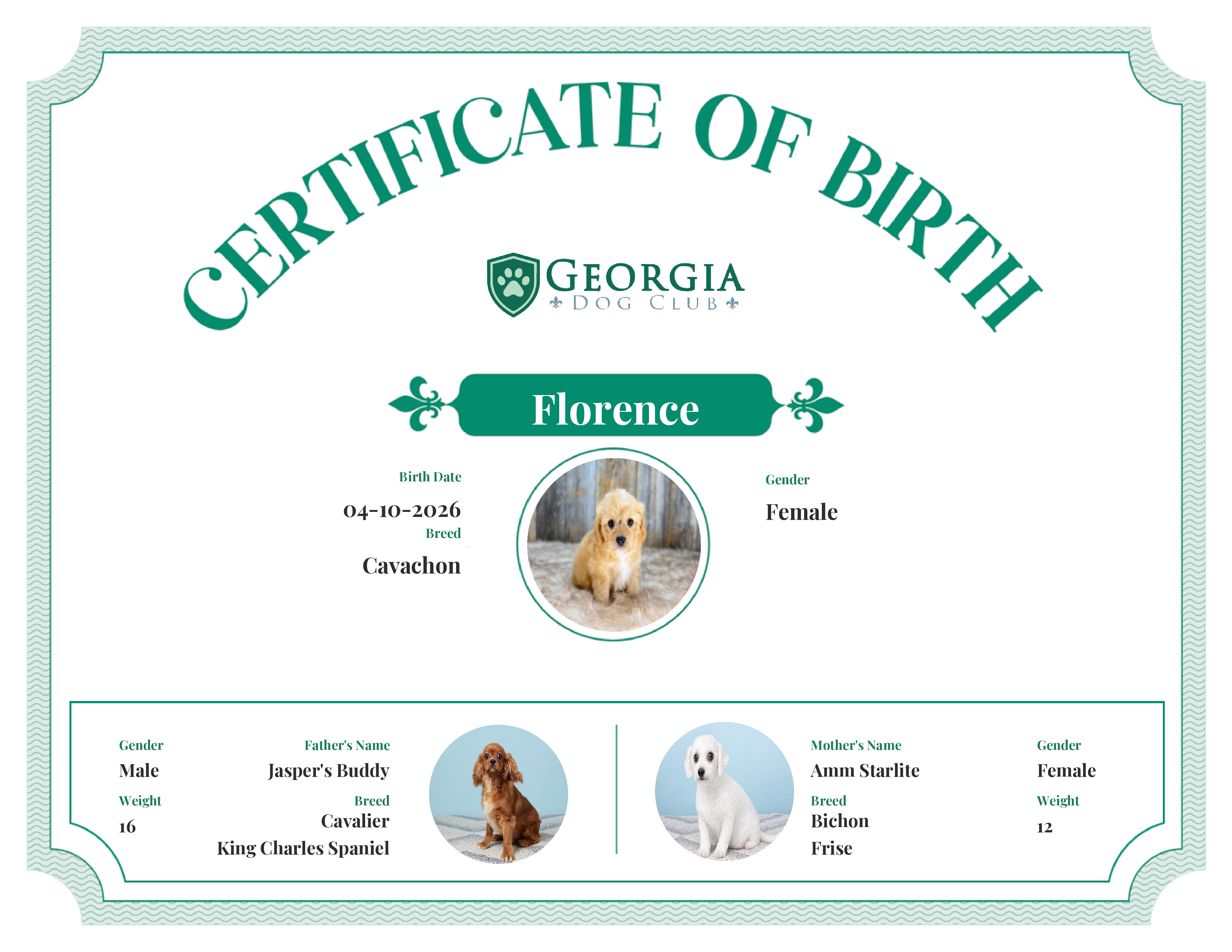 Florence's Birth Certificate