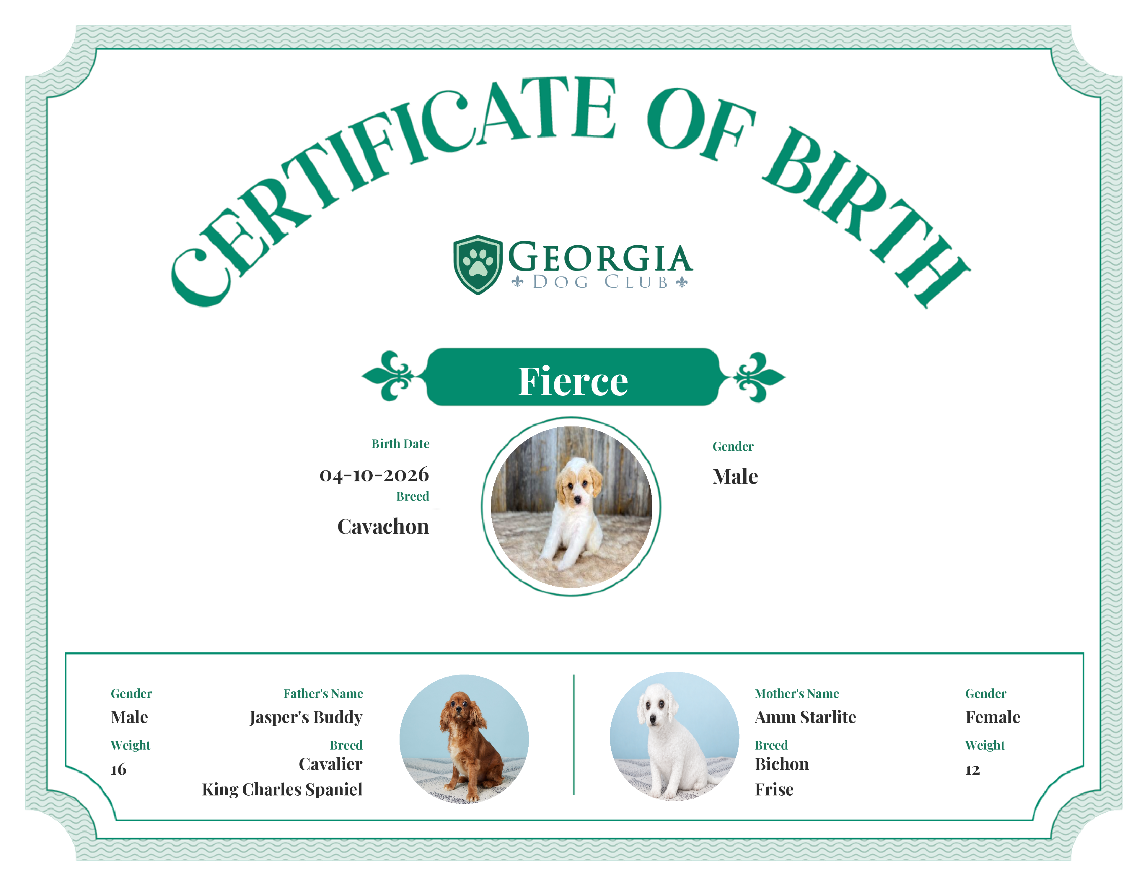 Fierce's Birth Certificate