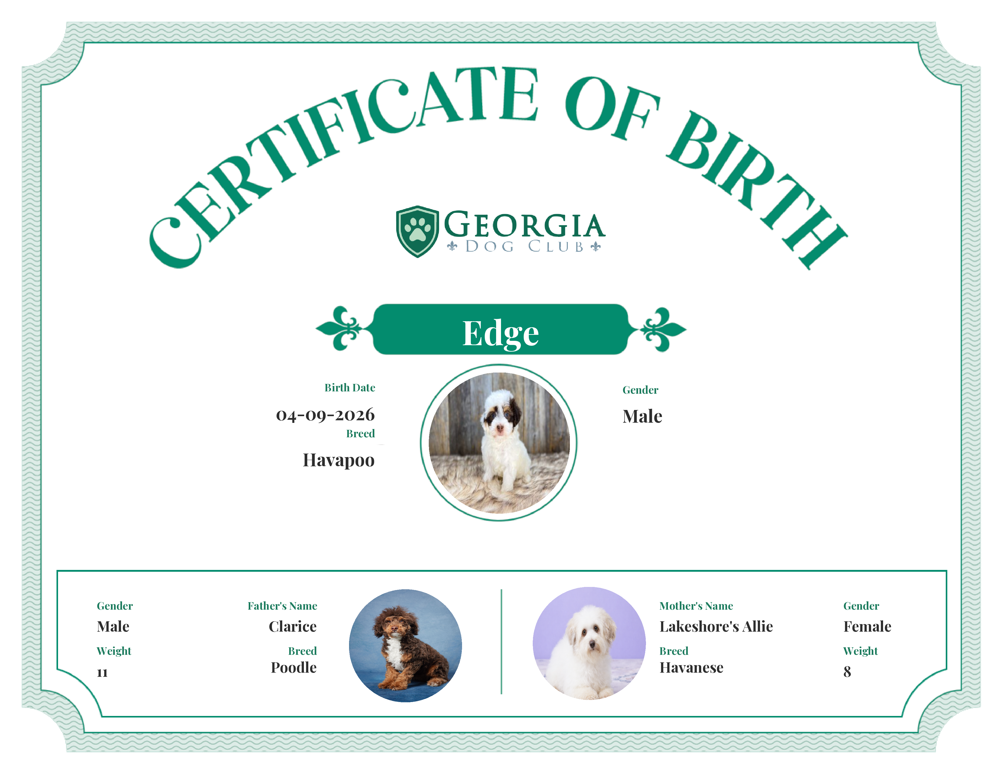 Edge's Birth Certificate
