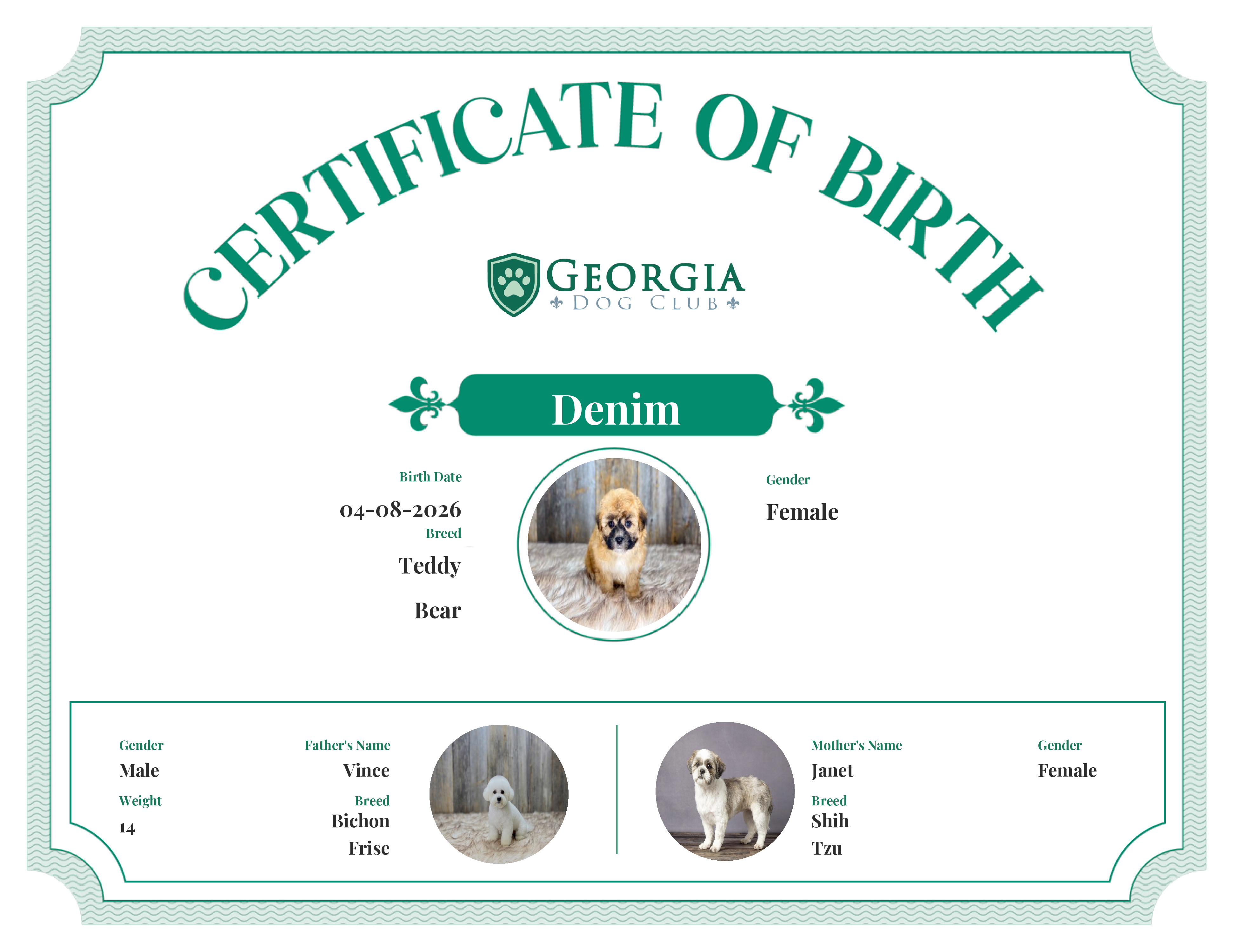 Denim's Birth Certificate